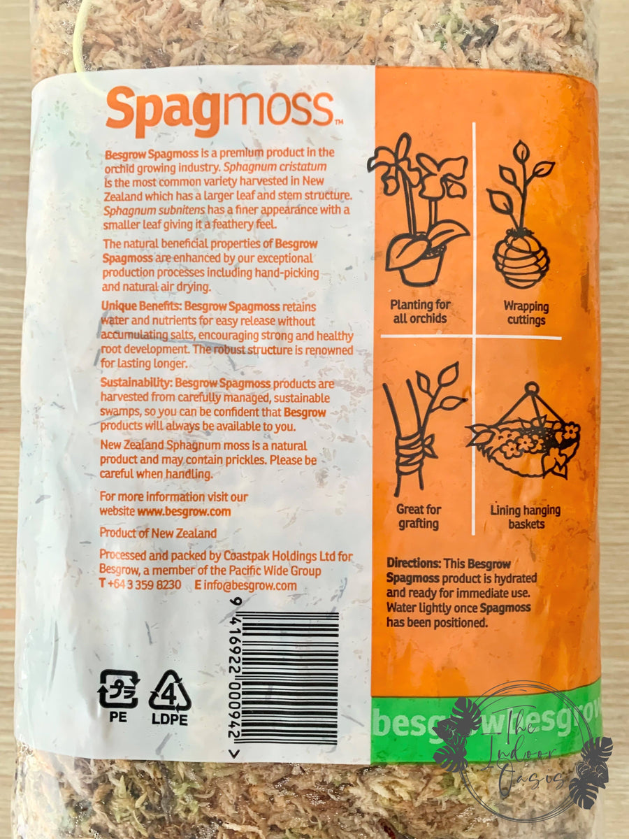 Besgrow Spagmoss Fresh Sphagnum Moss 1kg The Indoor Oasis NZ