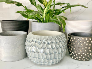 Pots & Planters The Indoor Oasis NZ