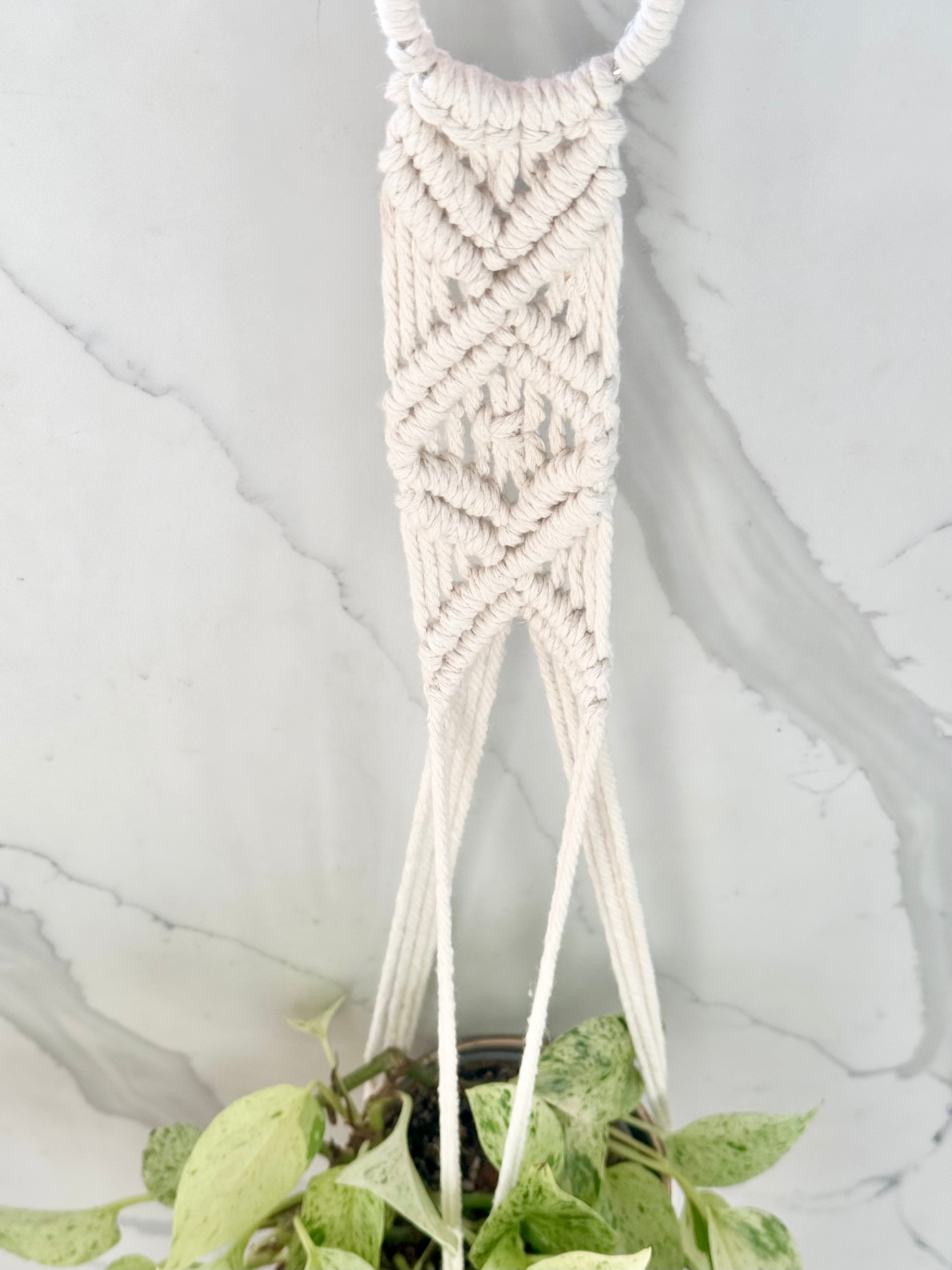 Boho Weave Macrame Plant Hanger