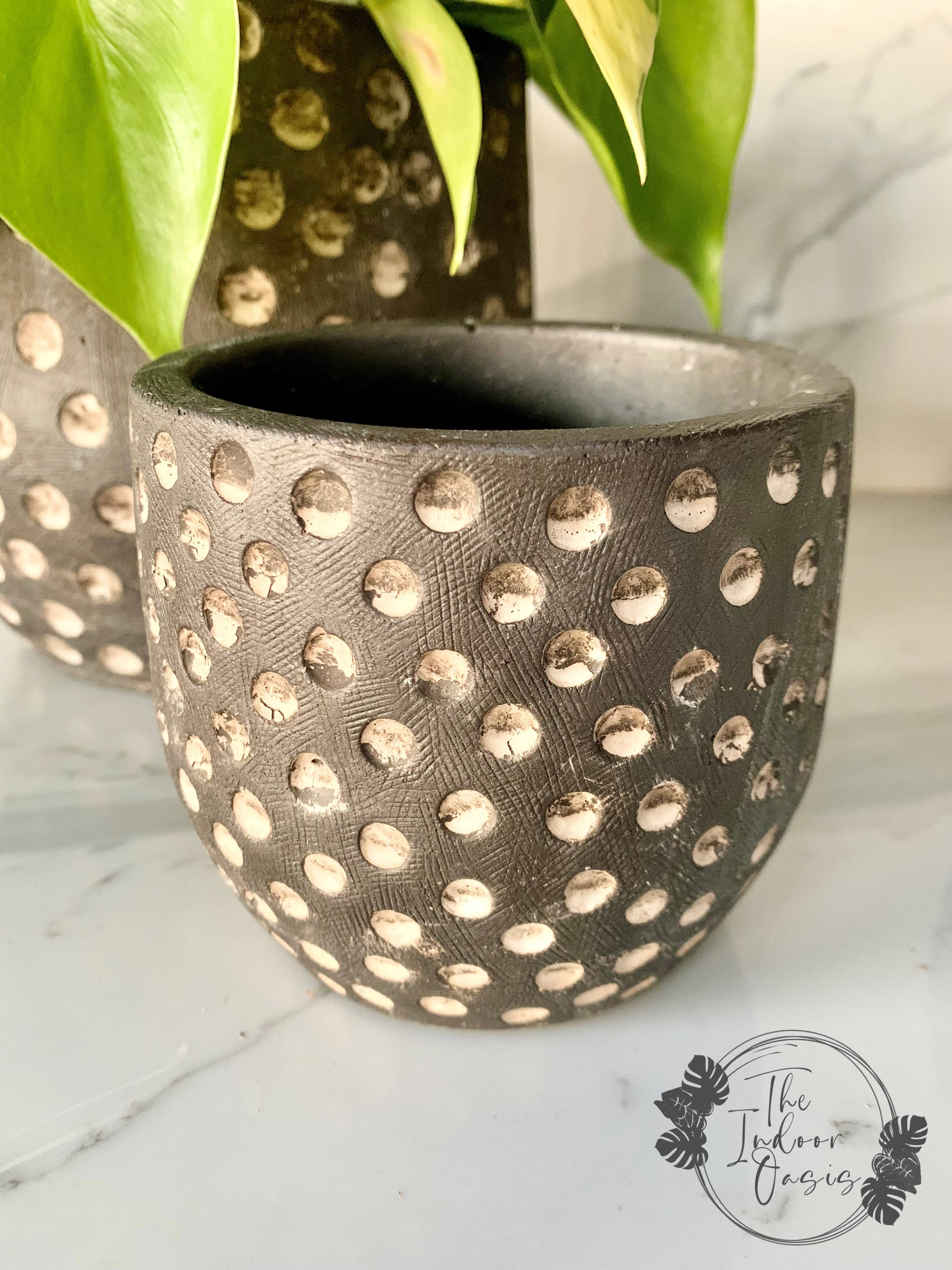 Cassidy Textured Cement Planter Pot Dotted 10cm The Indoor Oasis NZ
