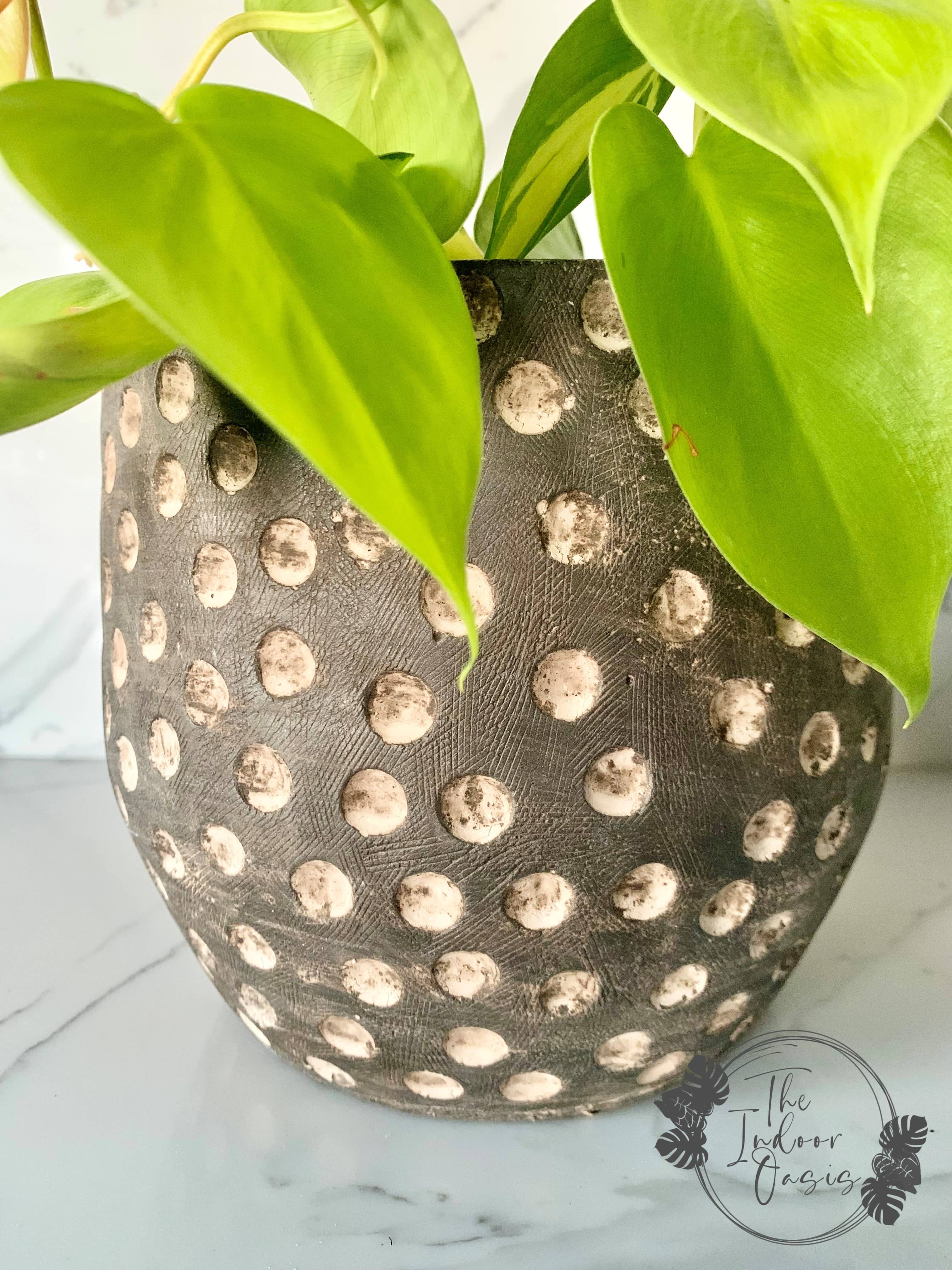 Cassidy Textured Cement Planter Pot Dotted Detail The Indoor Oasis NZ