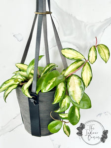 Chic PU Leather Plant Hanger Black The Indoor Oasis NZ