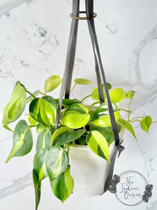 Chic PU Leather Plant Hanger Grey The Indoor Oasis NZ
