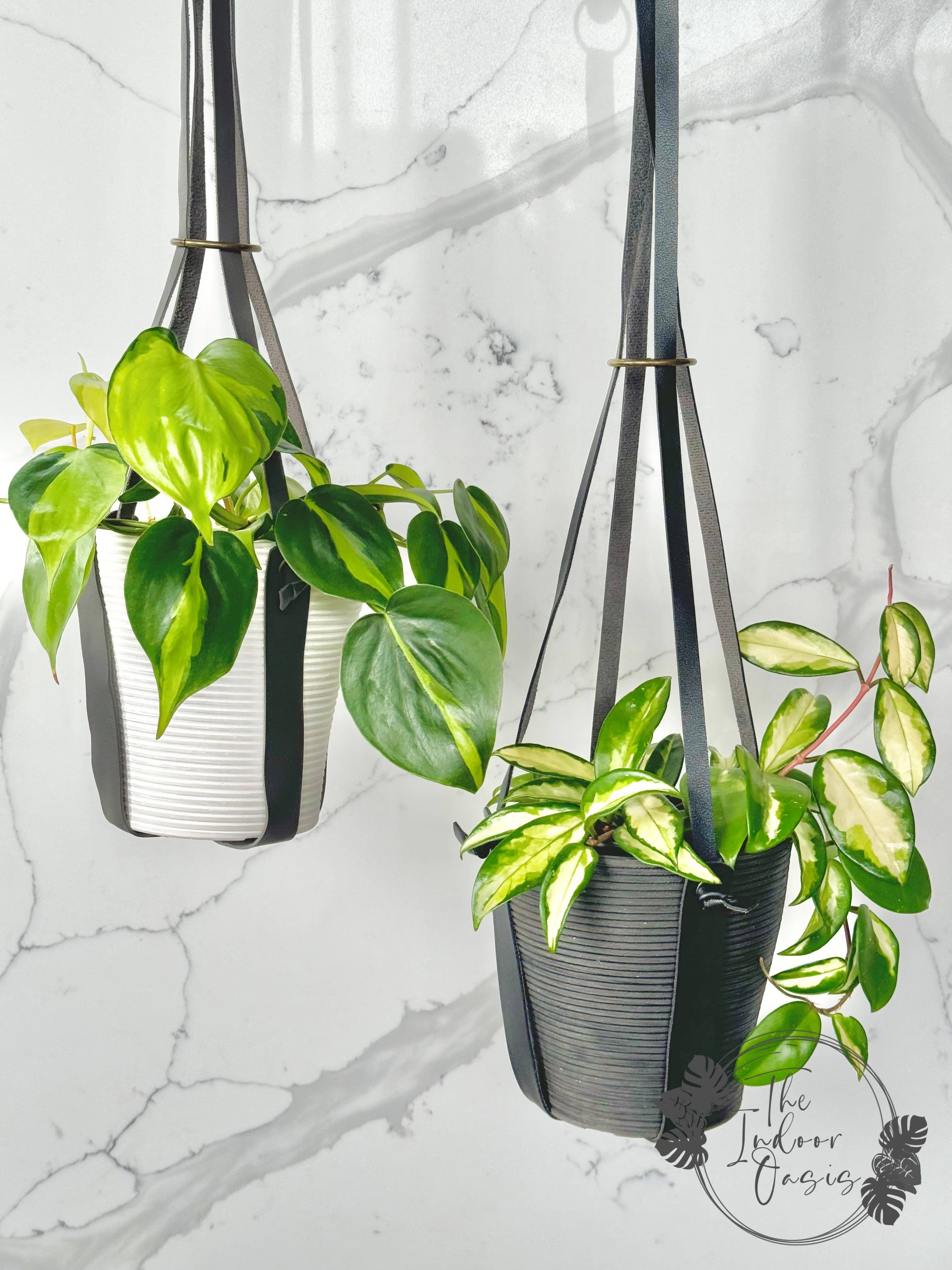 hanging house plants nz Chic PU Leather Plant Hanger – The Indoor Oasis NZ