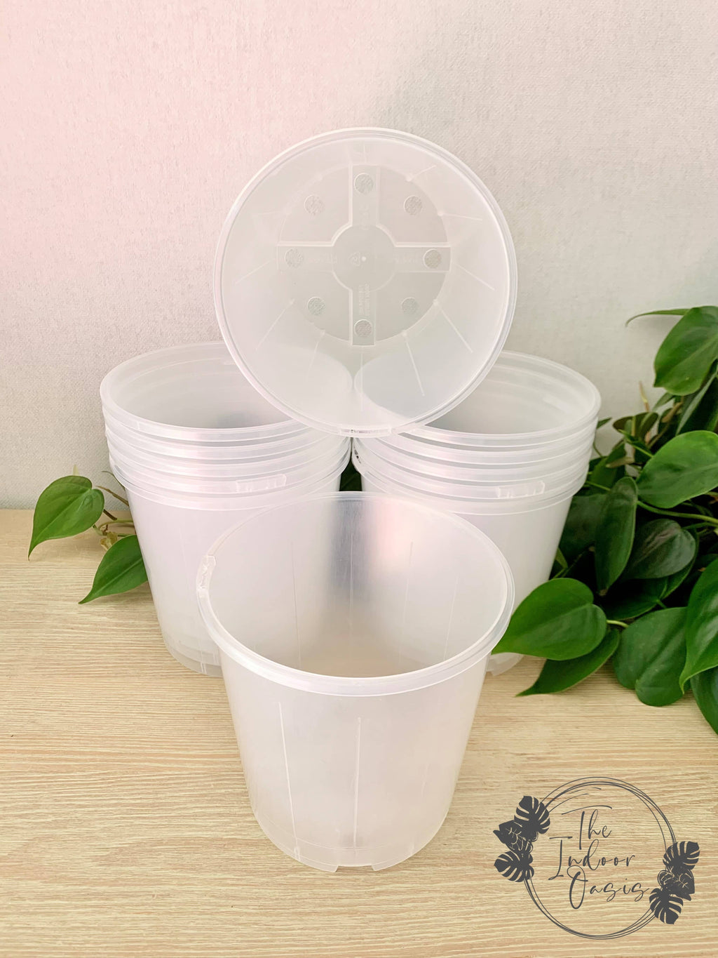 Clear Nursery Pot 15cm The Indoor Oasis NZ