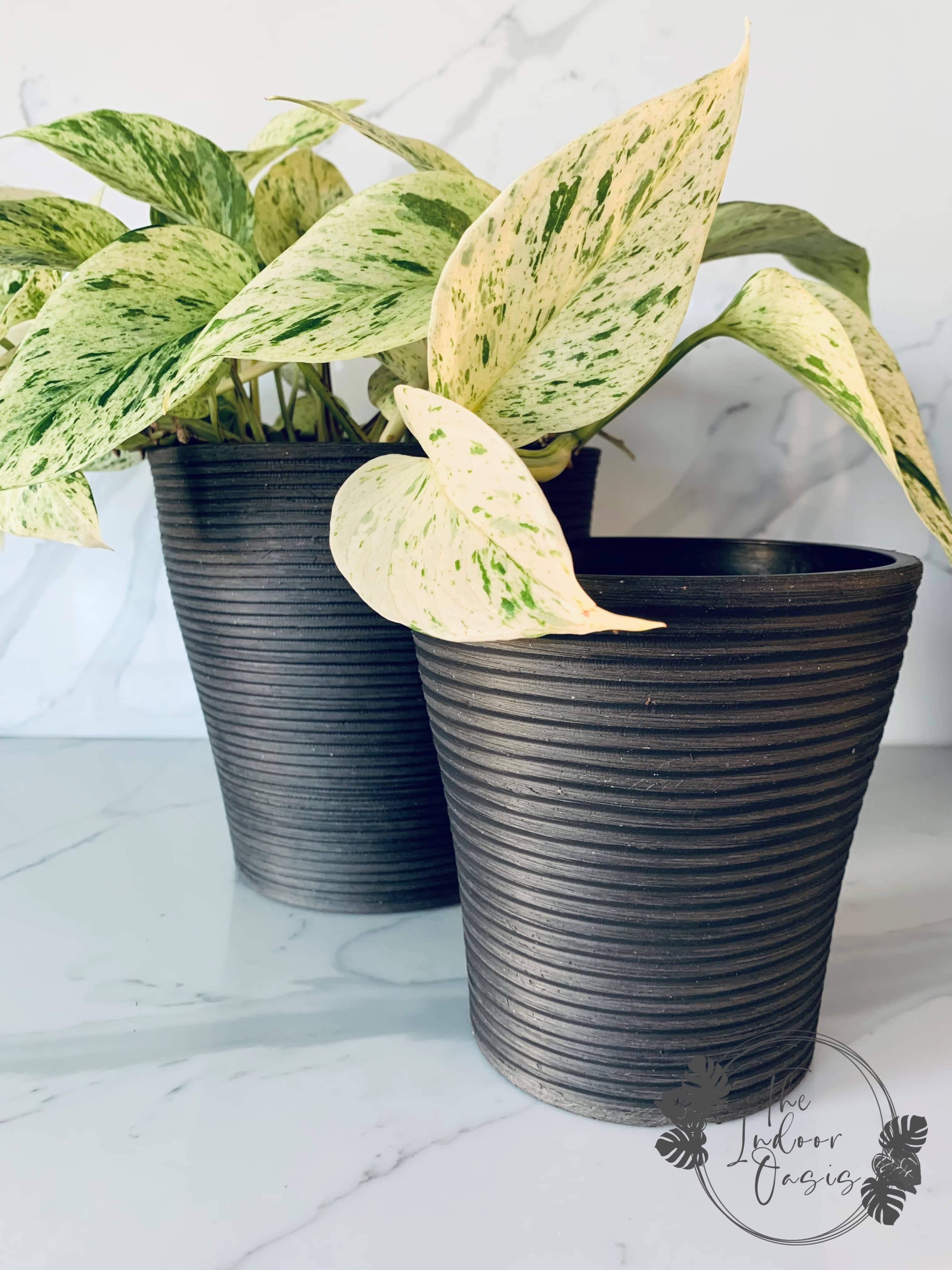 Eco Collection Tall Planter Pot Black