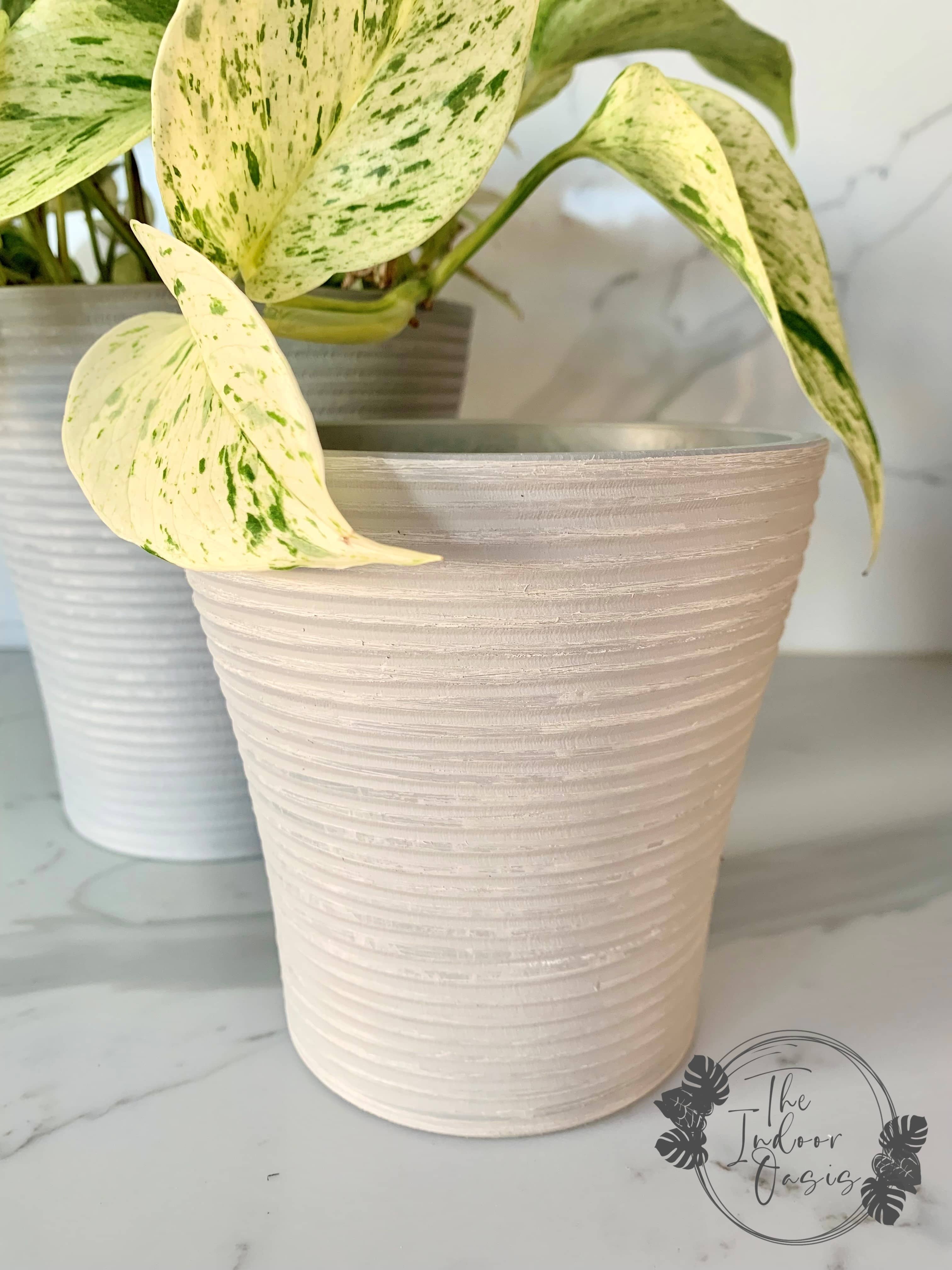 Eco Collection Tall Planter Pot 12.7cm Light Grey The Indoor Oasis NZ