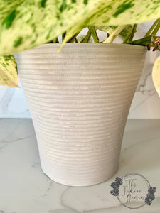 Eco Collection Tall Planter Pot Light Grey Detail The Indoor Oasis NZ