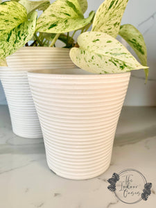 Eco Collection Tall Planter Pot 12.7cm White The Indoor Oasis NZ