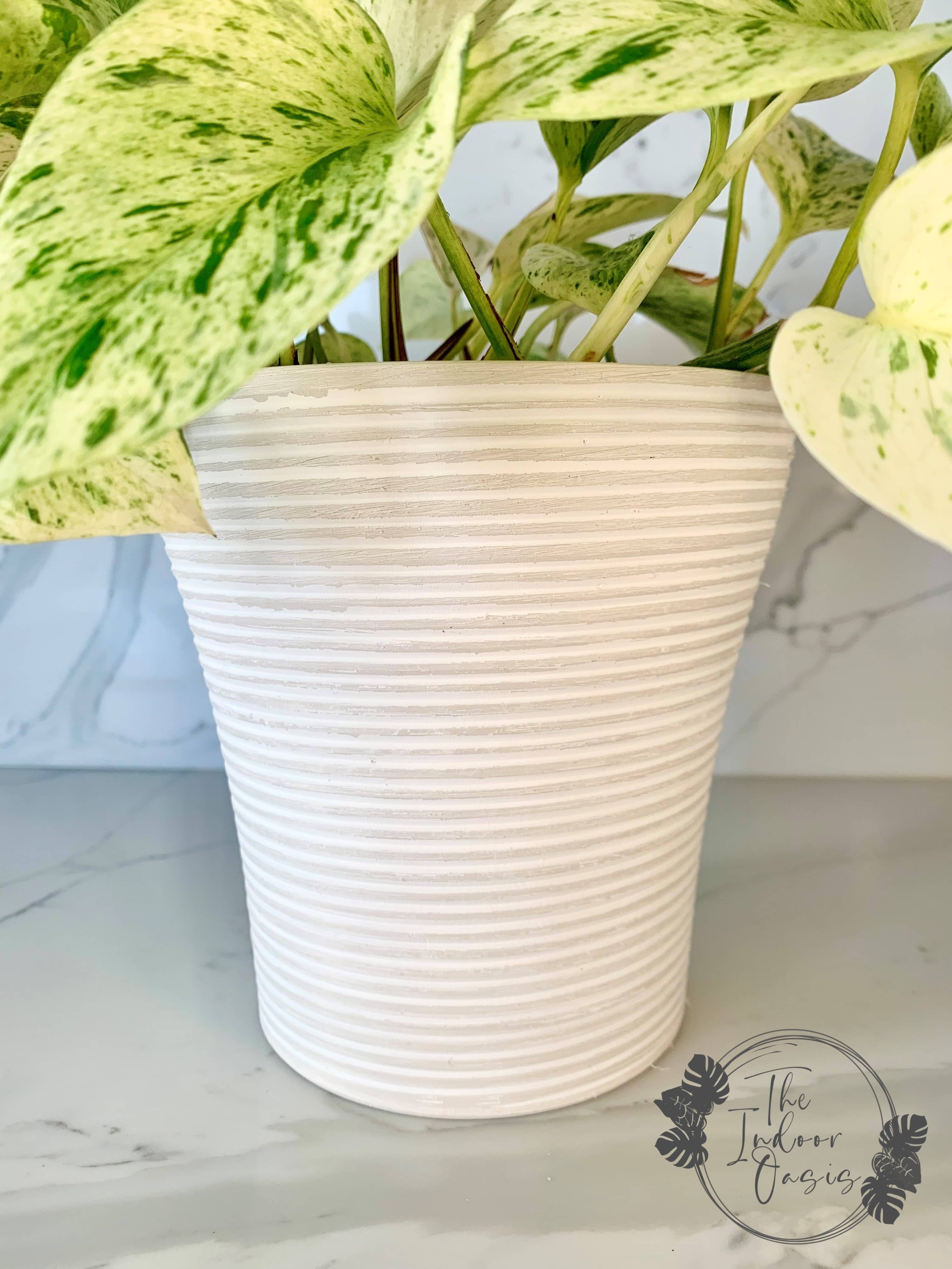 Eco Collection Tall Planter Pot detail White The Indoor Oasis NZ