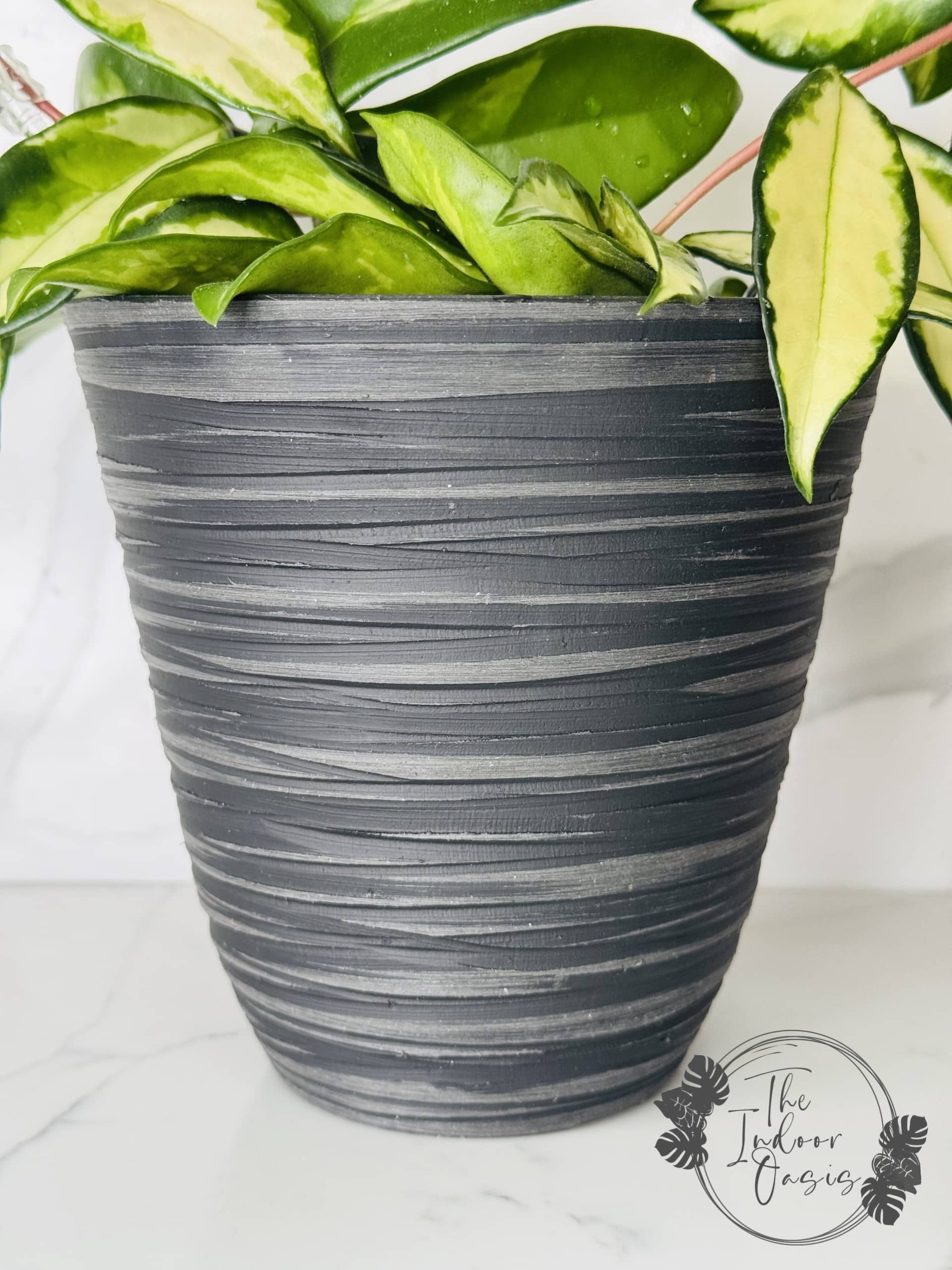 plastic plant pots nz Eco Collection Tapered Planter Pot Black – The Indoor Oasis NZ