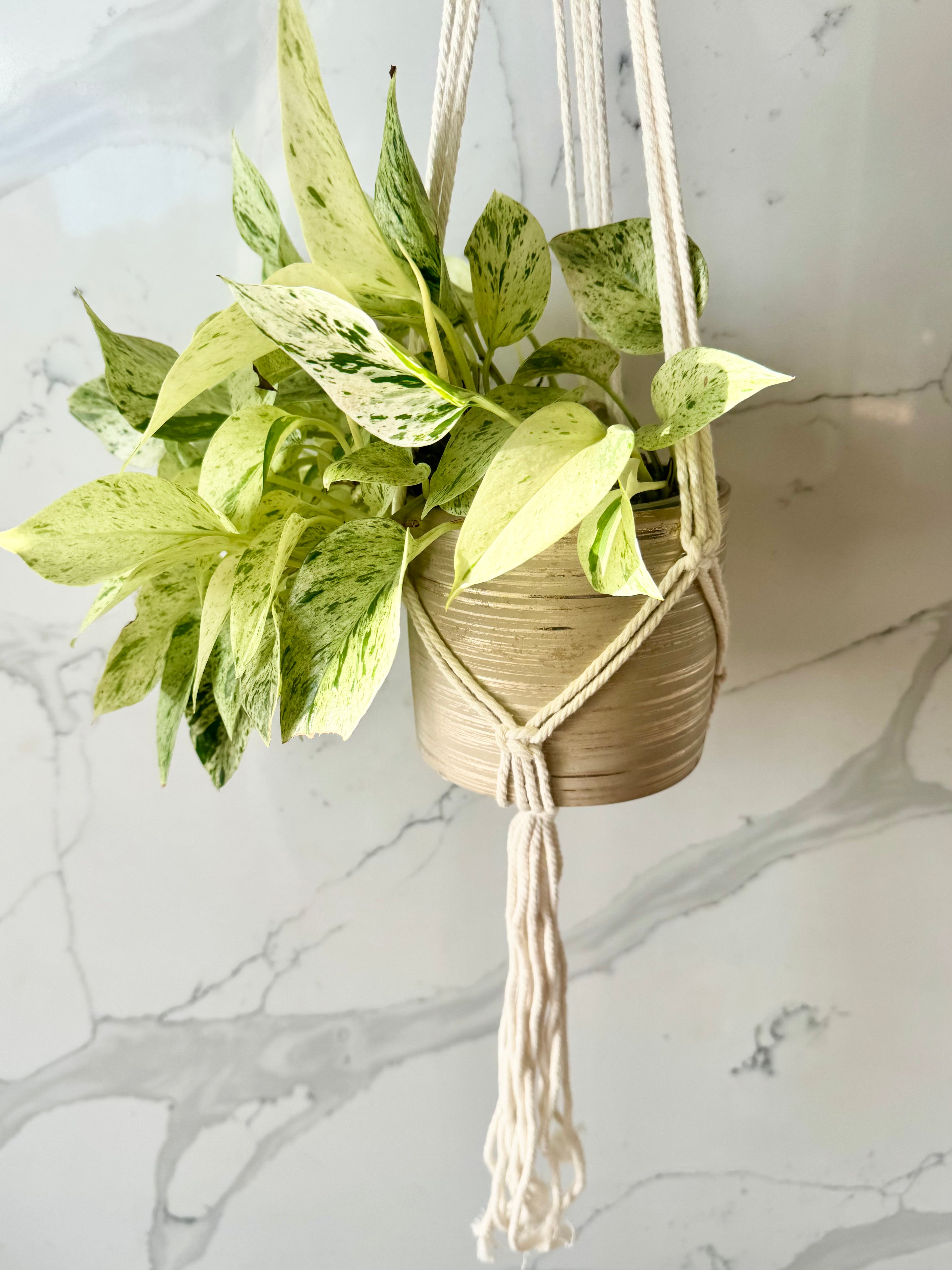 Boho Weave Macrame Plant Hanger