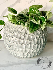 Kasia Textured Glazed Planter Pot Grey Cloud