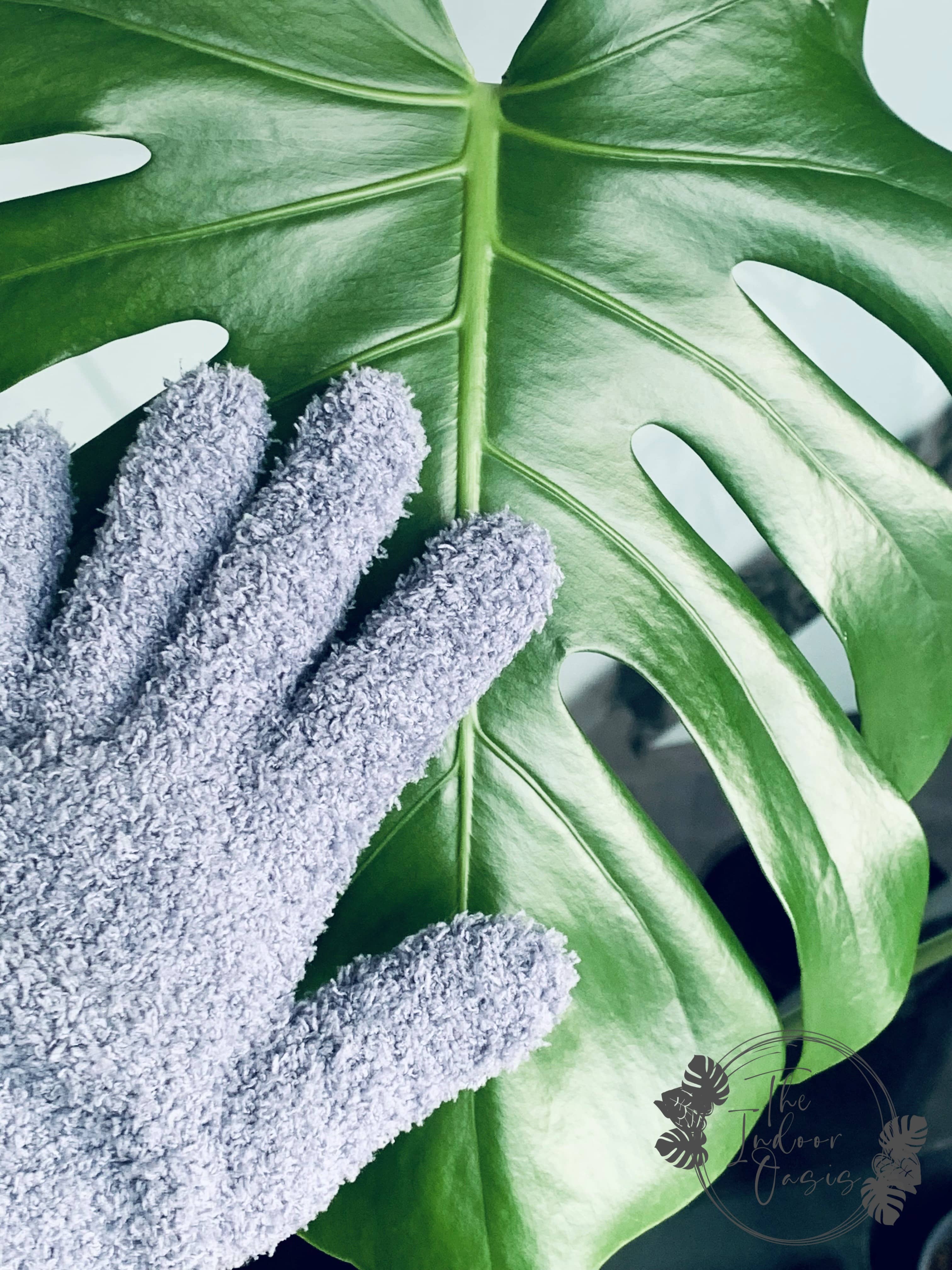 Grey Microfibre Plant Cleaning Gloves The Indoor Oasis NZ