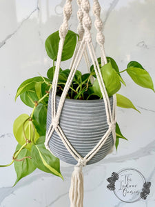 Philodendron Brasill in Twisted Macrame Plant Hanger back detail The Indoor Oasis NZ