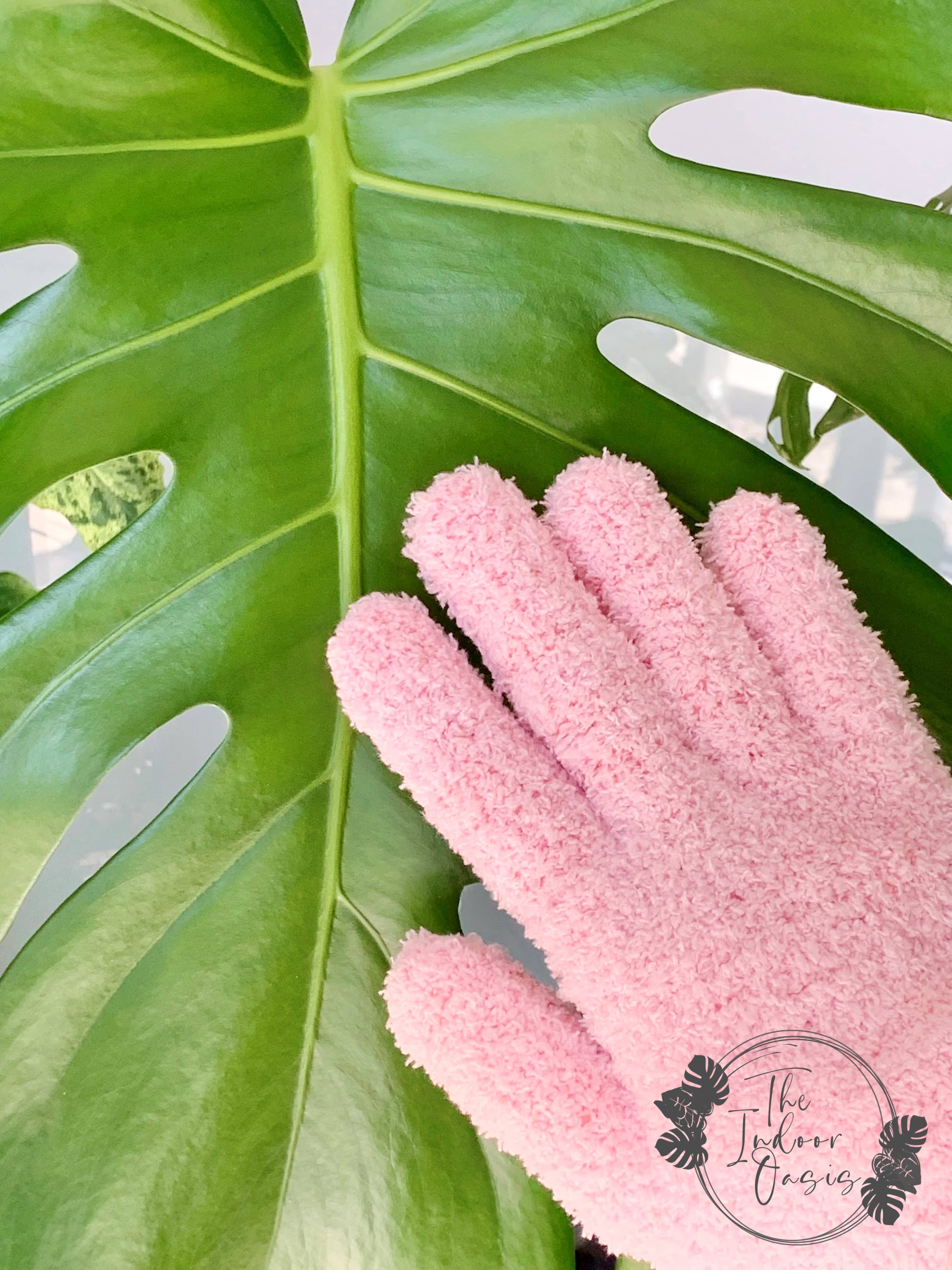 Pink Microfibre Plant Cleaning Gloves on Monstera Leaf The Indoor Oasis NZ