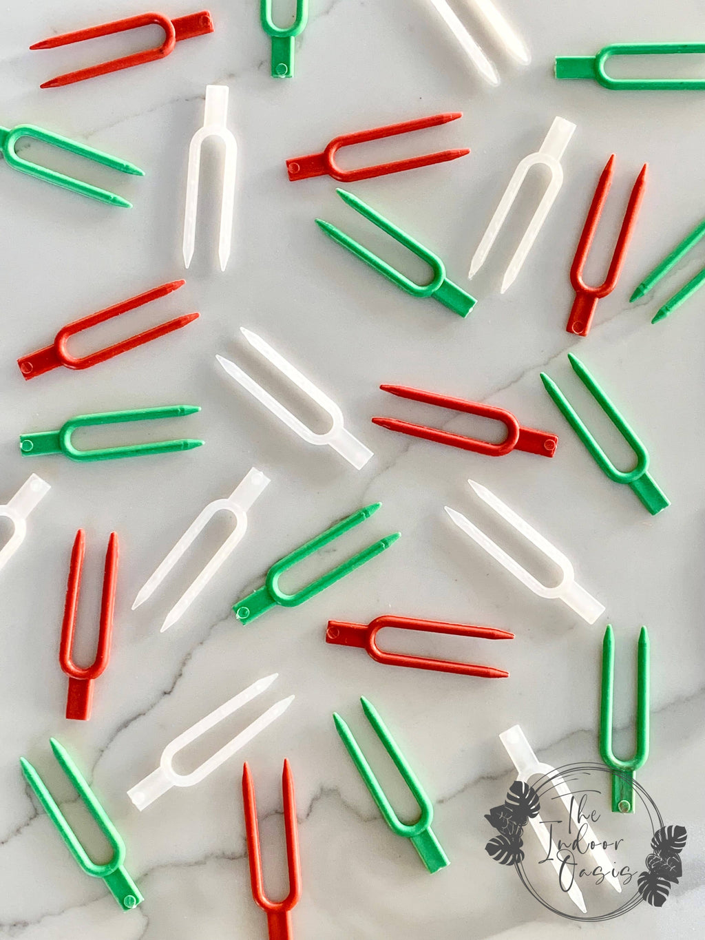 Plant Soil Pins Frosted Green Red The Indoor Oasis NZ