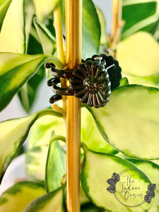 Plant Clips Green on Trellis The Indoor Oasis NZ