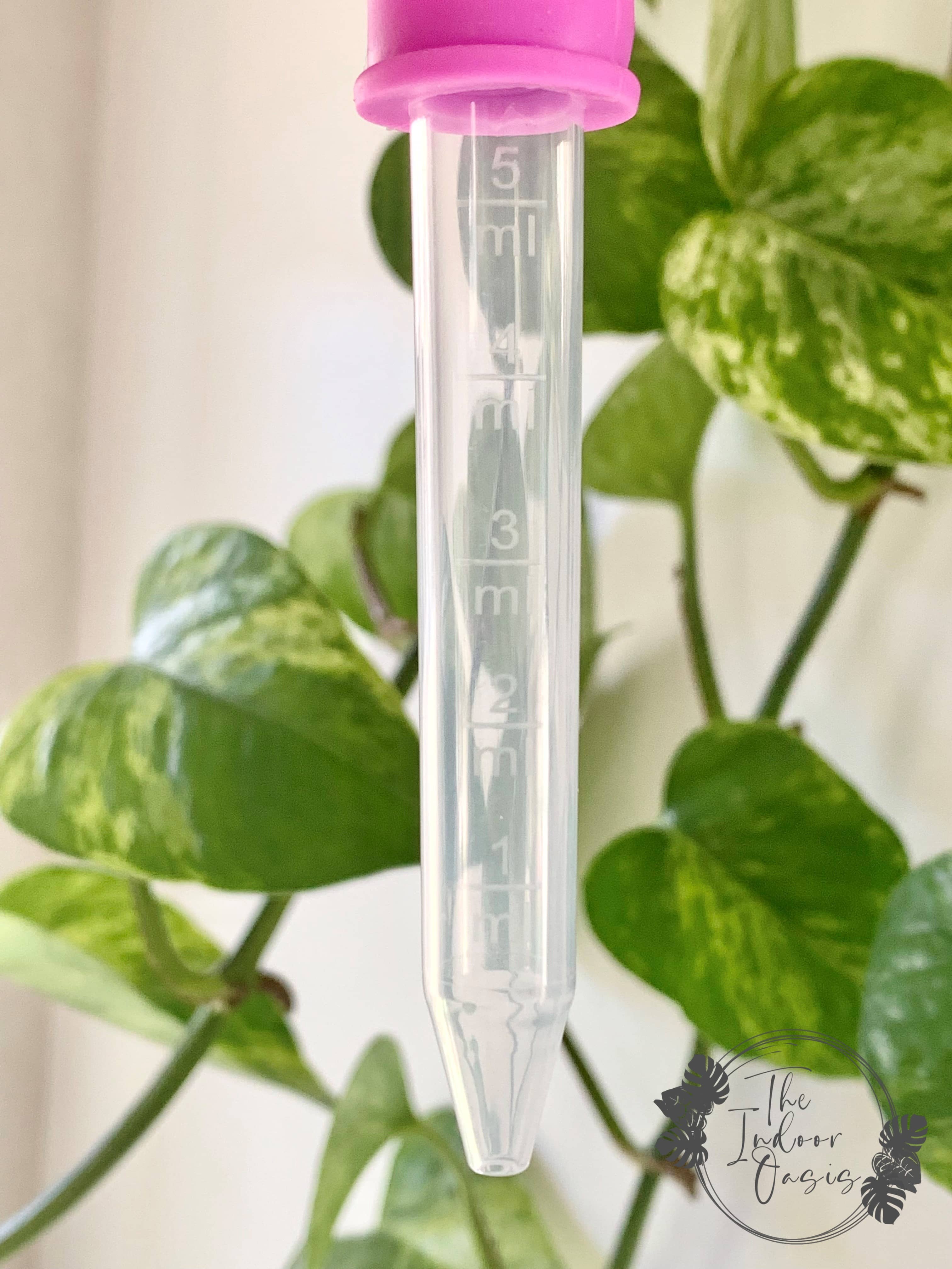 Silicone Dropper Pipette Closeup The Indoor Oasis NZ