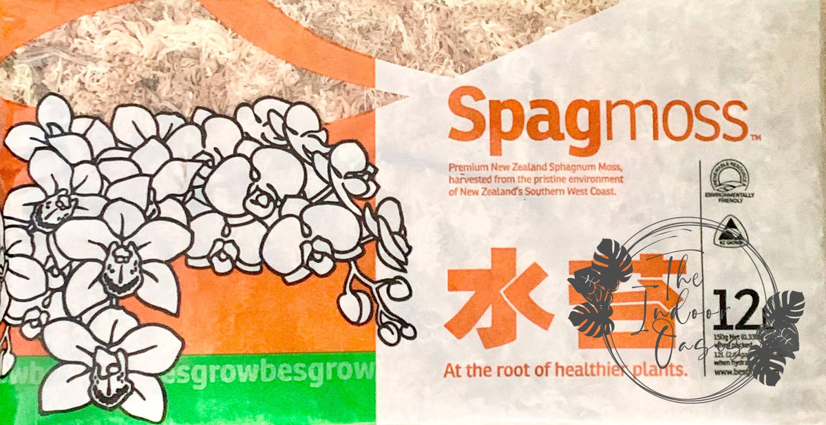 Besgrow Spagmoss Dried Sphagnum Moss 12L – The Indoor Oasis NZ
