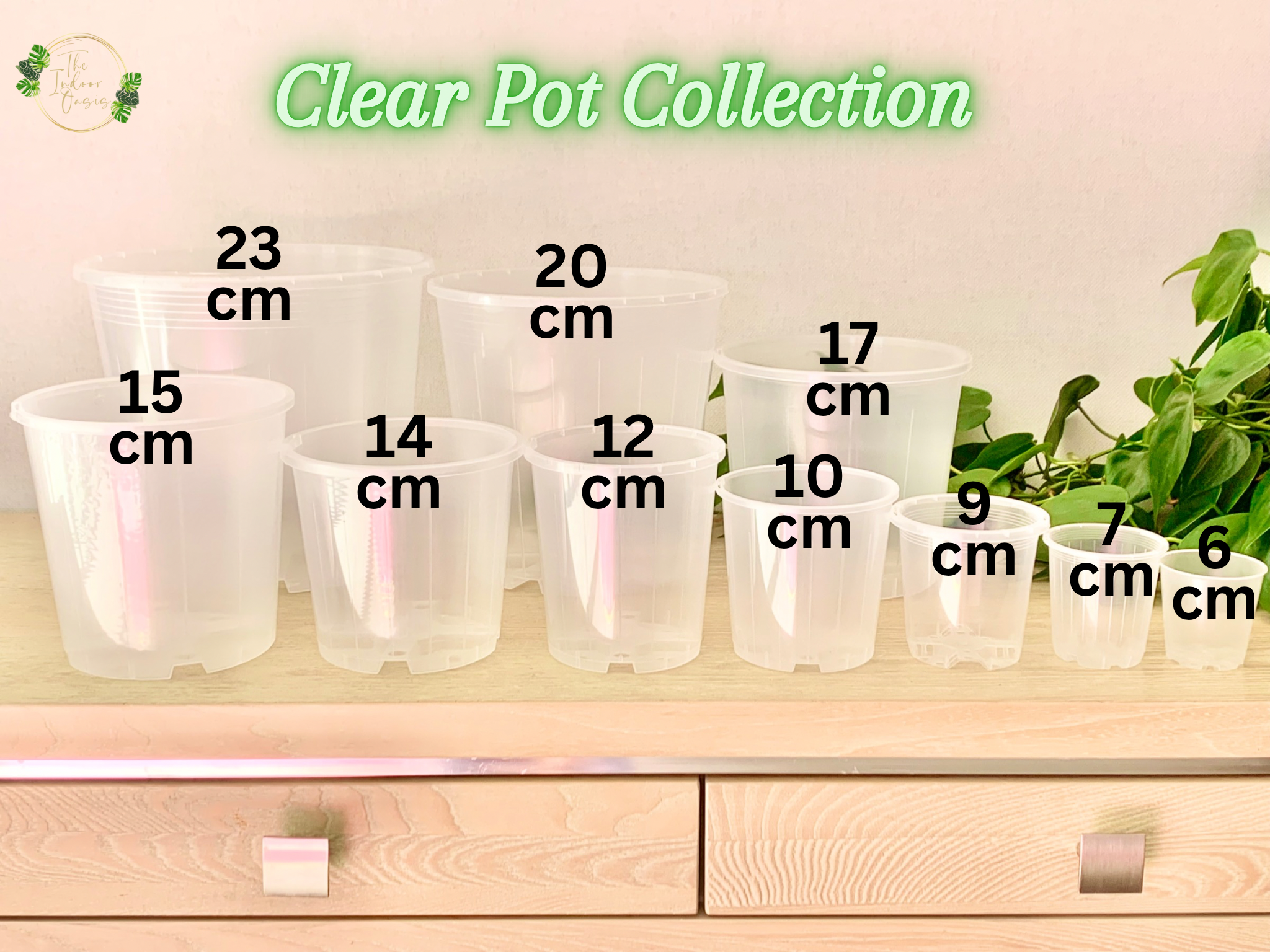 6cm plastic plant pots Clear Nursery Pot 6cm – The Indoor Oasis NZ