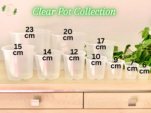 Clear Nursery Pot 6cm