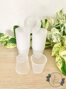 Clear Nursery Pots Clear Pots 6cm The Indoor Oasis NZ