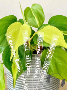 Clear Acrylic Plant Labels