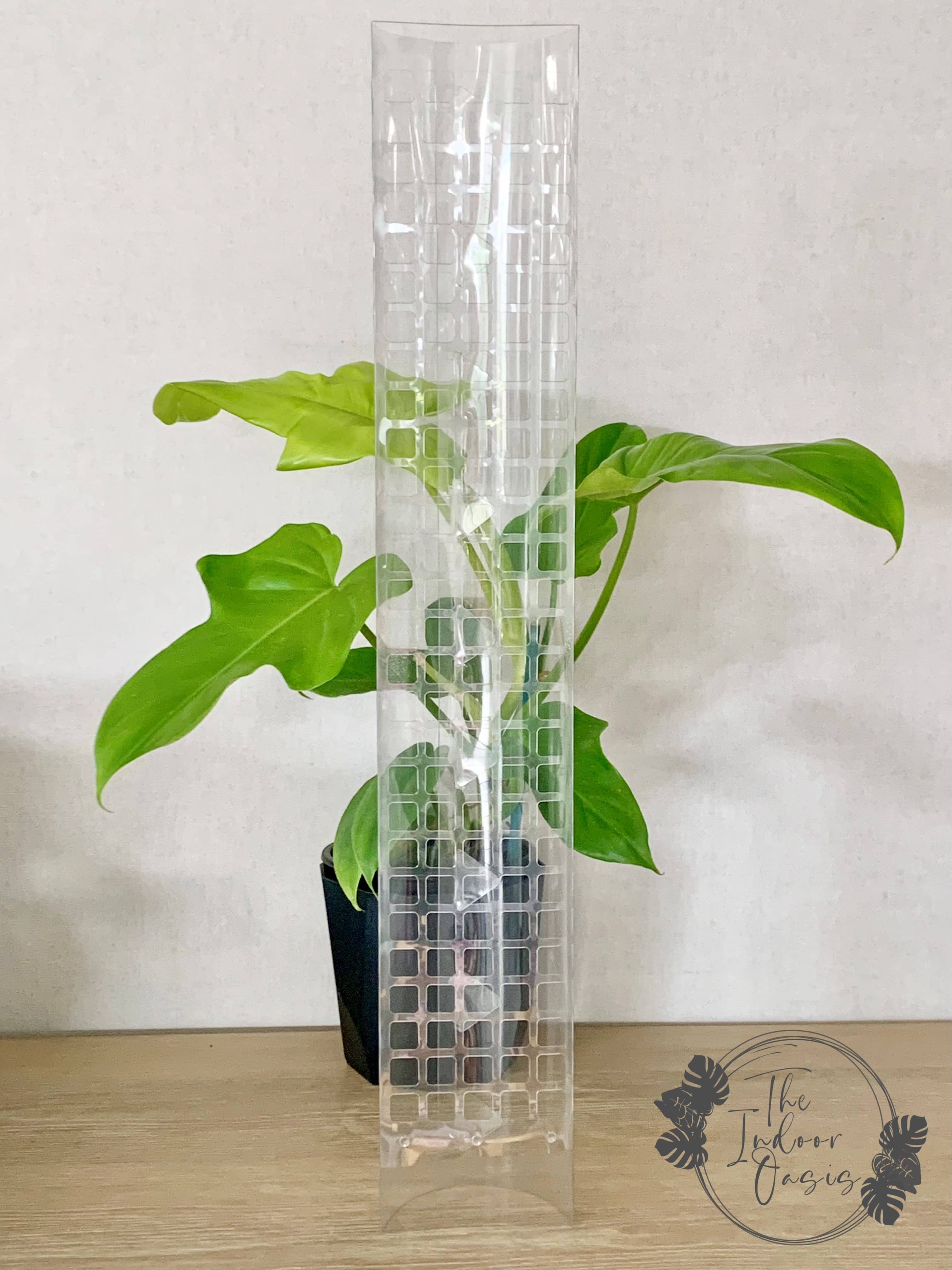 clear moss pole Clear Aroid Moss Pole L 60cm / XL 90cm / XXL 120cm – The Indoor Oasis NZ