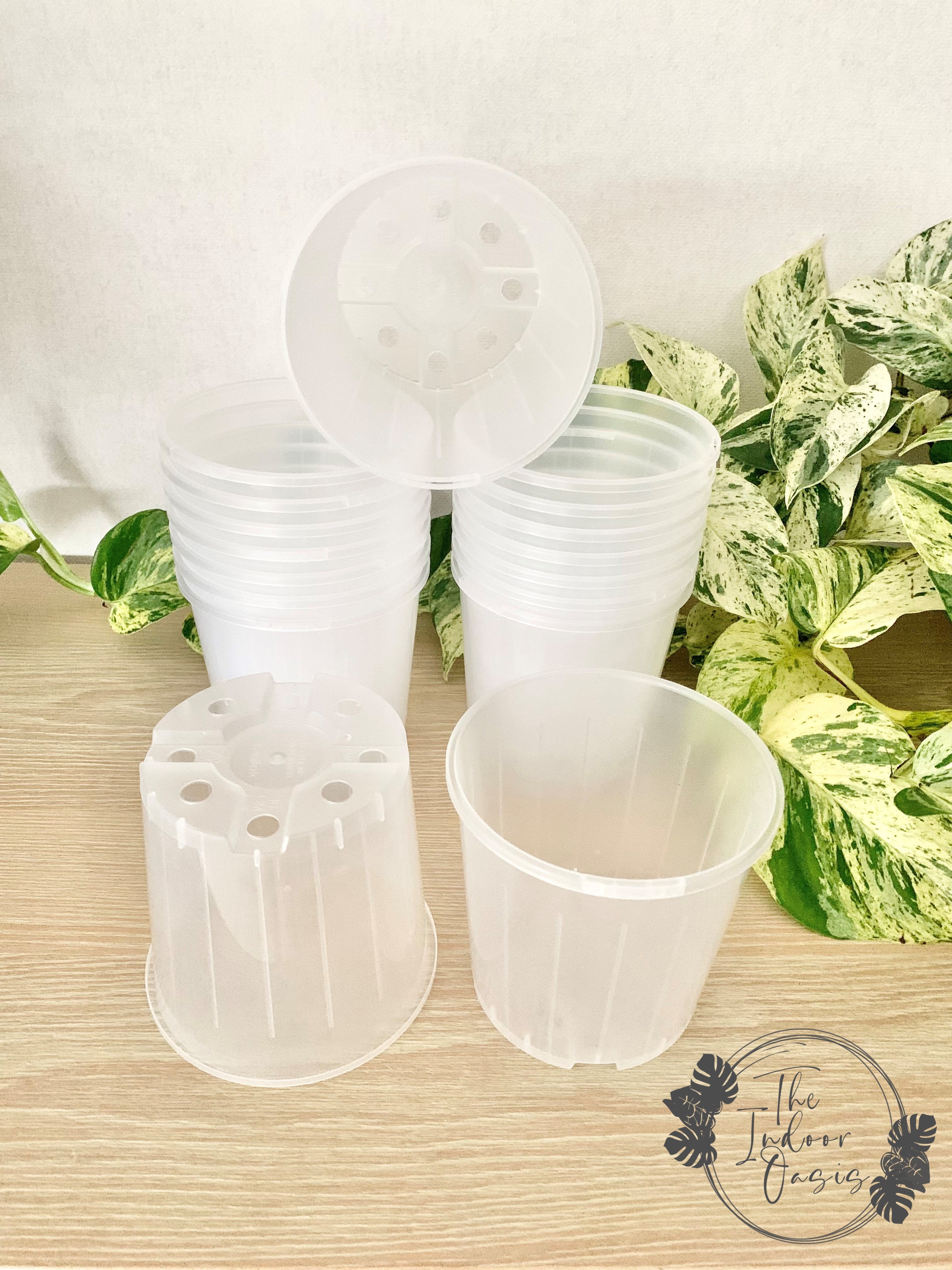 Clear Nursery Pots 10cm Plastic Pots Clear Pots The Indoor Oasis NZ