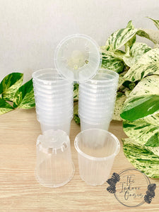 Clear Nursery Pot Clear Pot 7cm The Indoor Oasis NZ