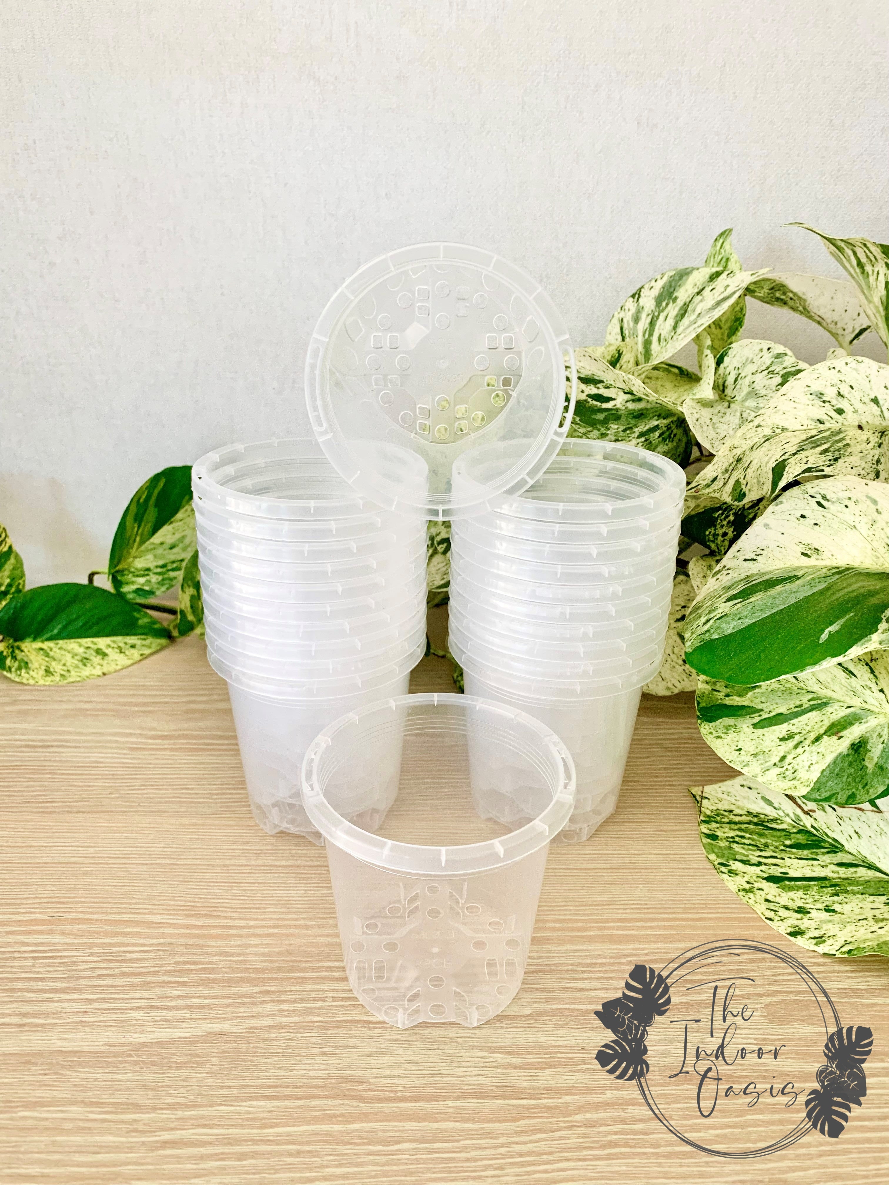 9cm plant pot Clear Nursery Pot 9cm – The Indoor Oasis NZ
