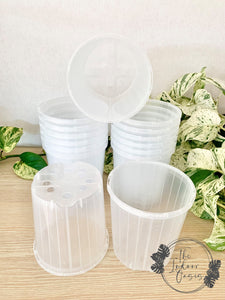 Clear Nursery Pots Clear Pots 20cm The Indoor Oasis NZ