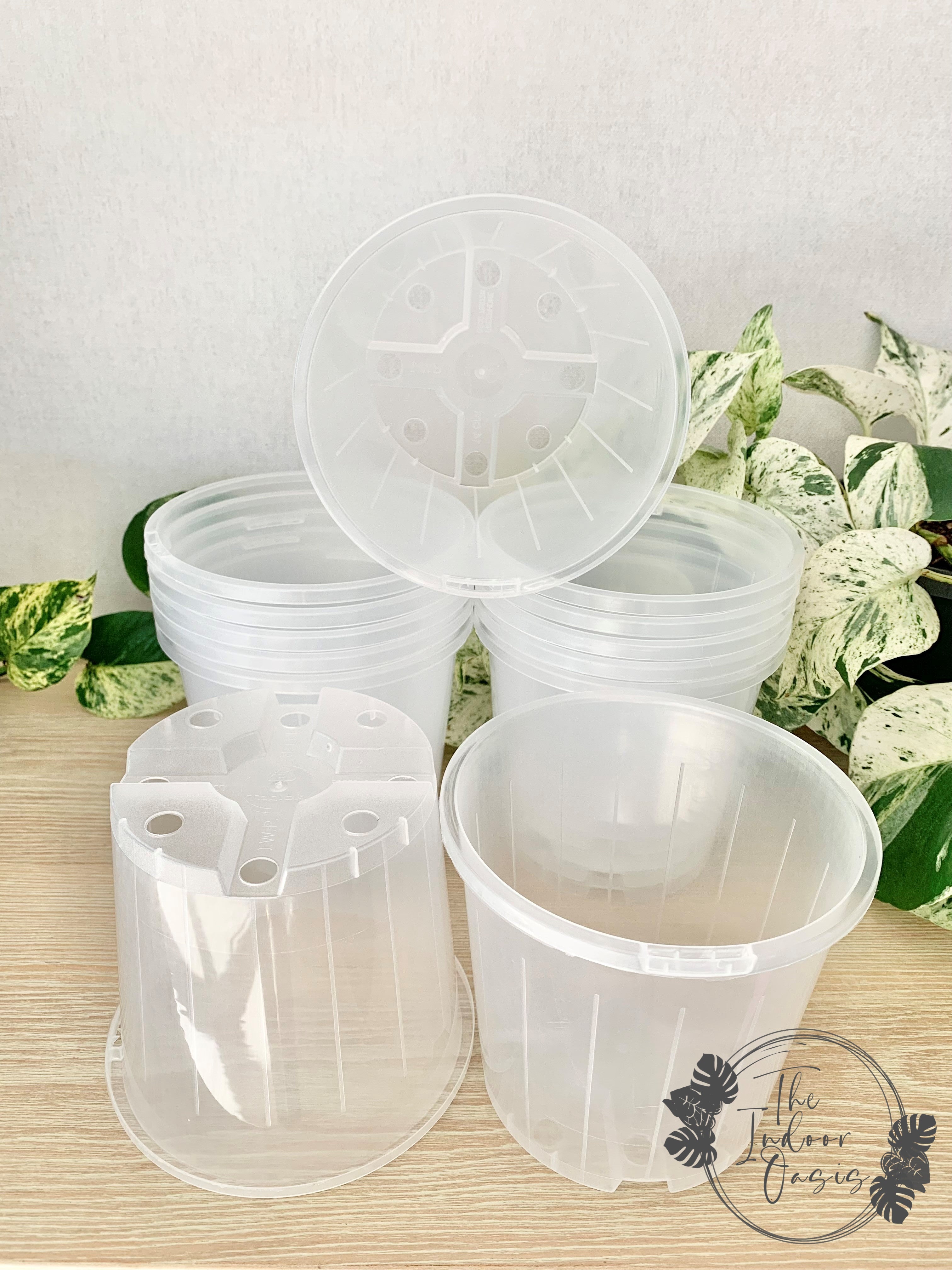 plastic plant pots nz Clear Nursery Pot 14cm – The Indoor Oasis NZ