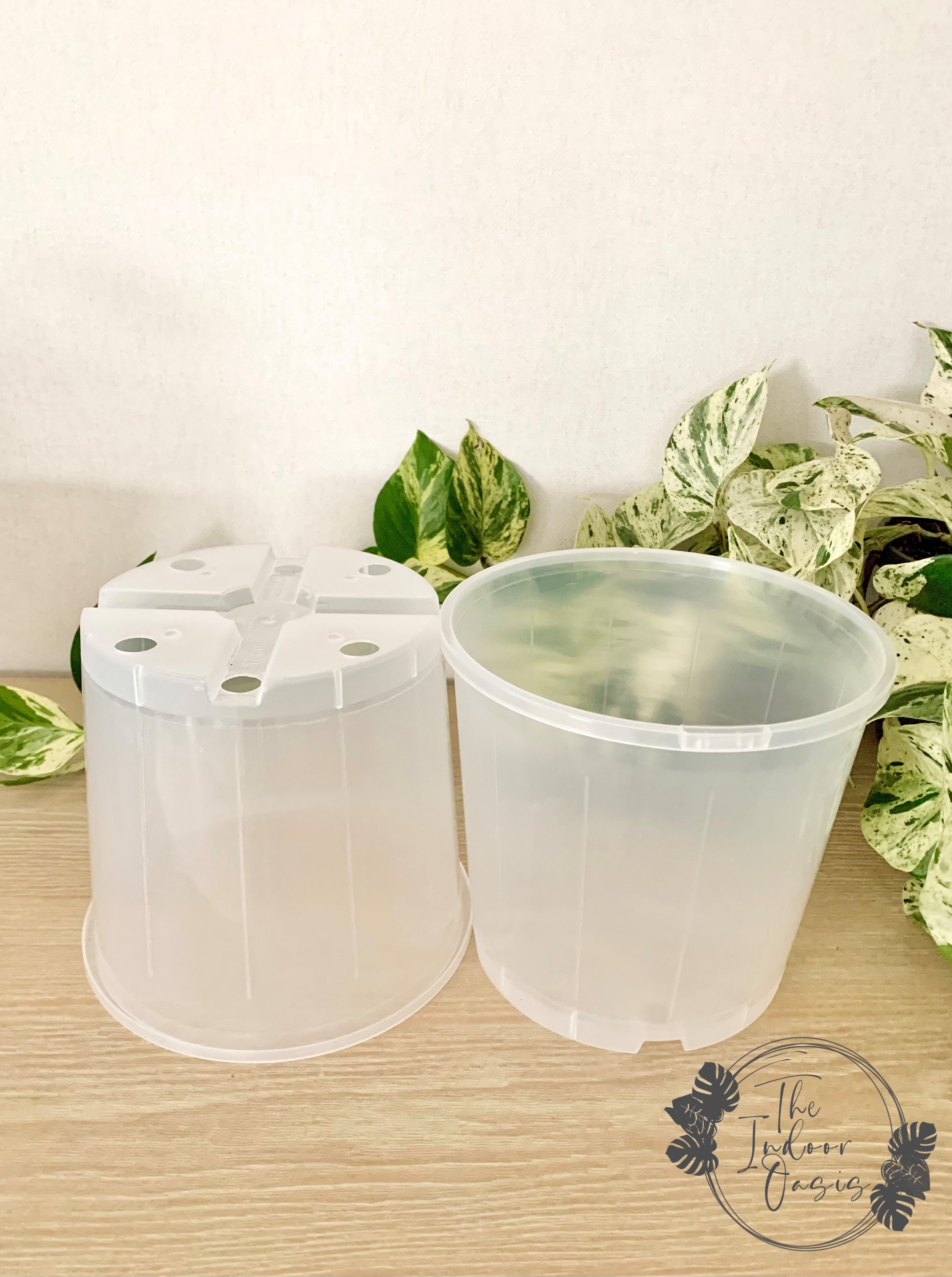Clear Nursery Pot Plastic Pots Clear Pots 17cm The Indoor Oasis NZ