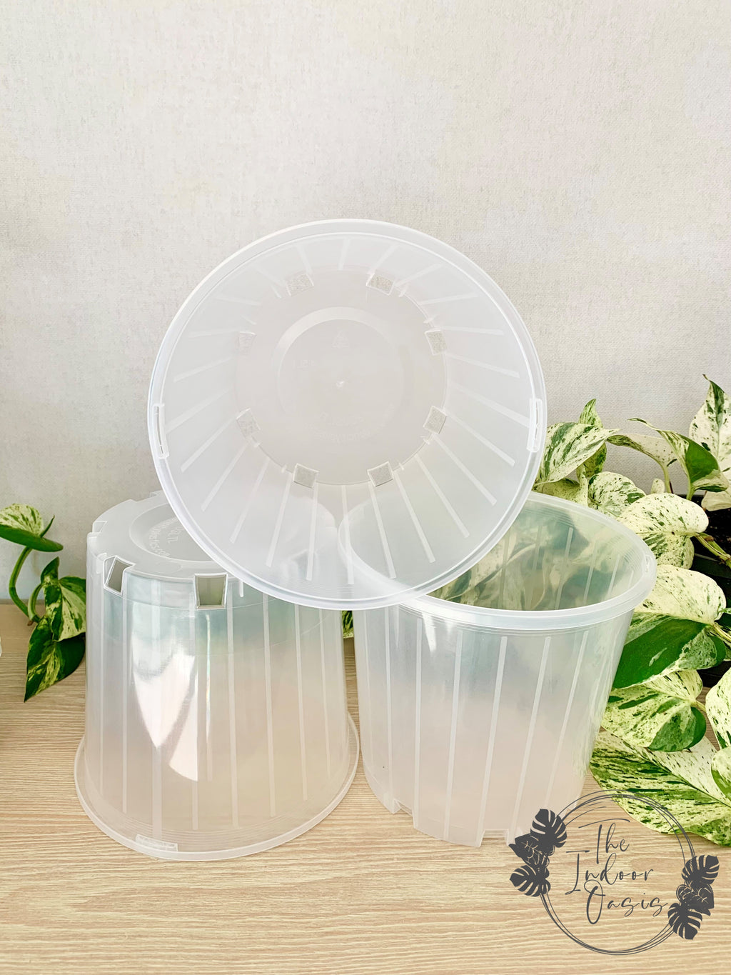 Clear Nursery Pot Clear Pot Plastic 20cm The Indoor Oasis NZ