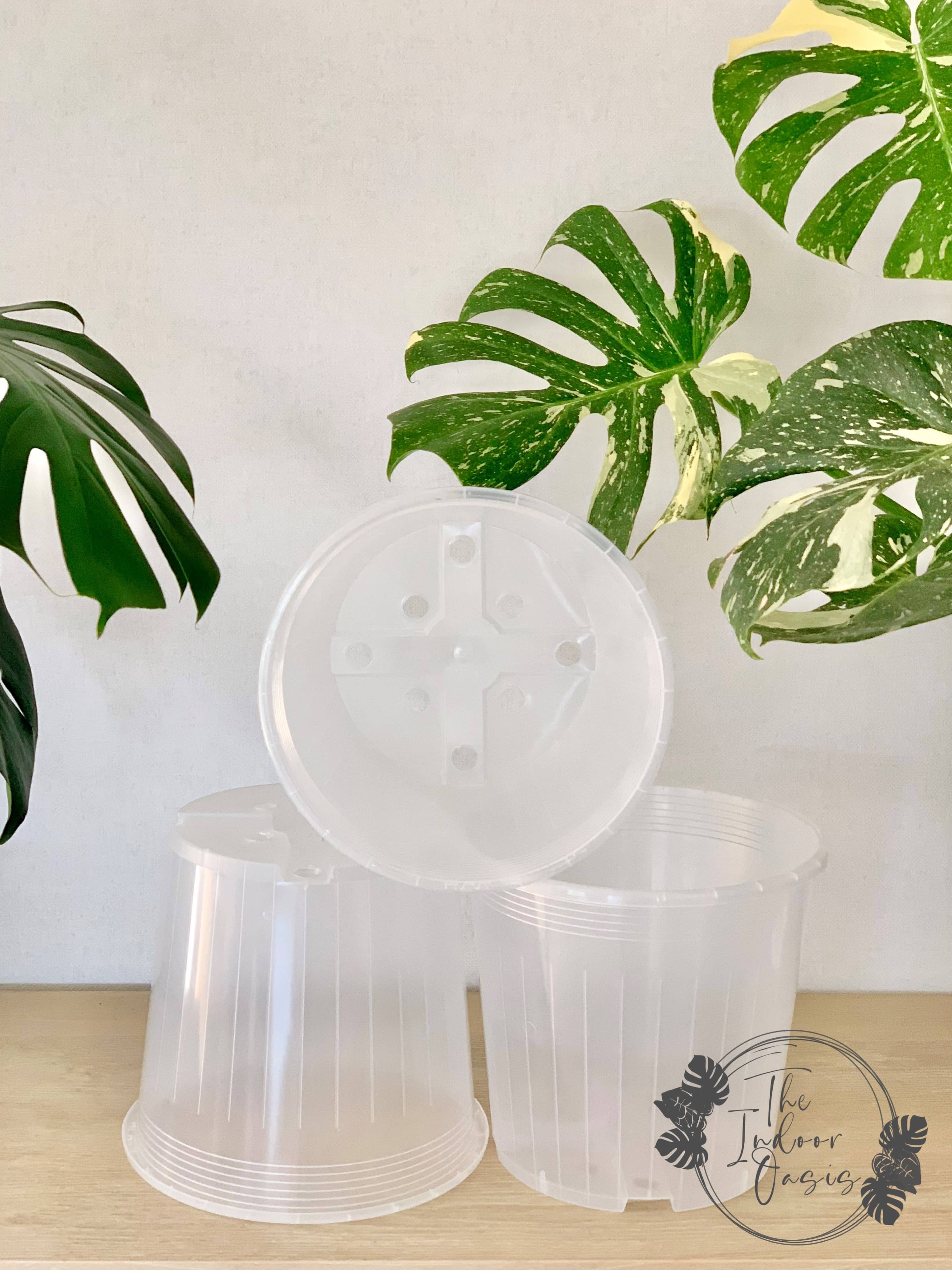 23cm plant pots Clear Nursery Pot 23cm – The Indoor Oasis NZ