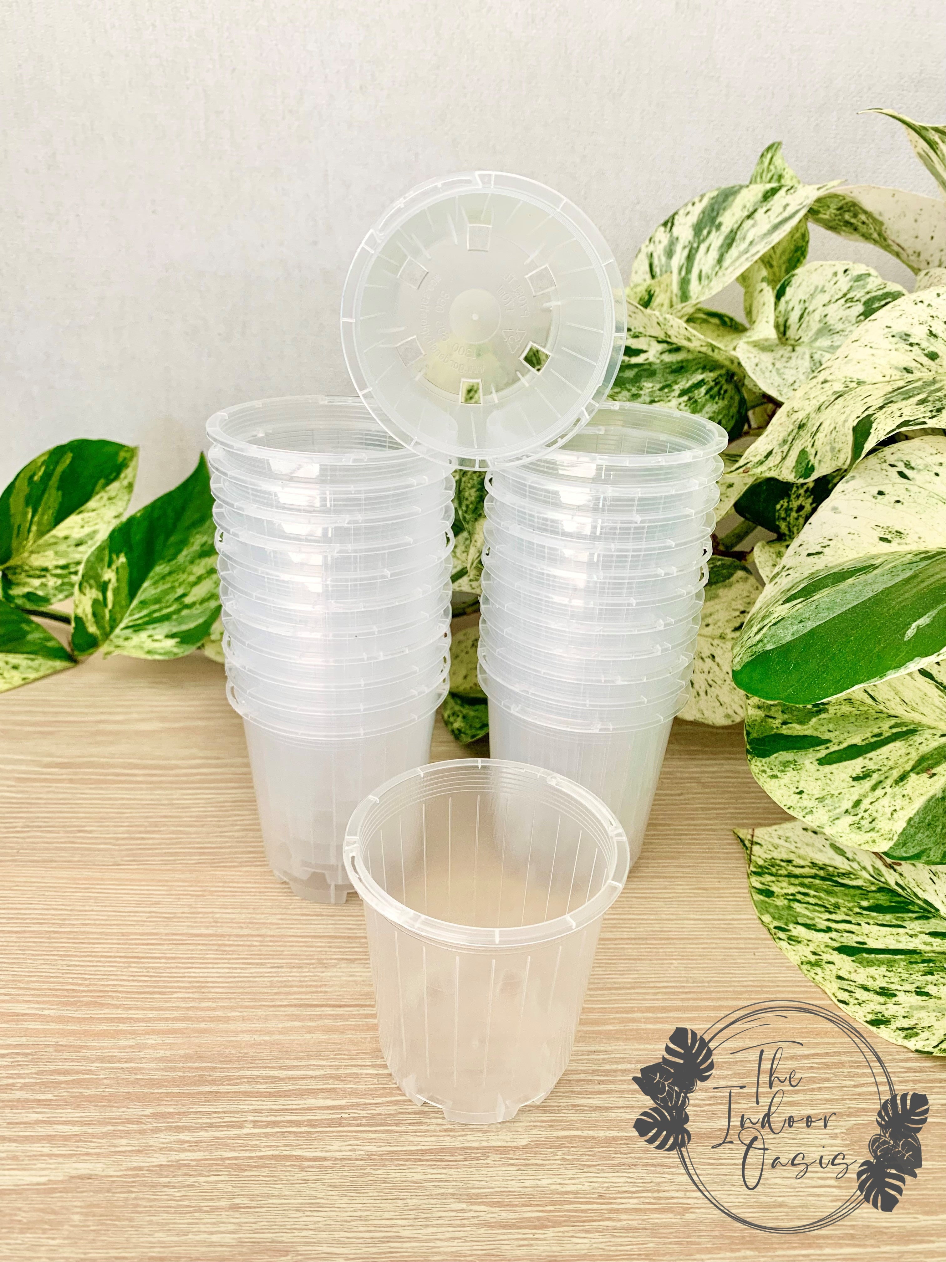 Clear Plastic Nursery Pots Clear Pots 7cm The Indoor Oasis NZ