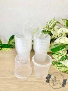 Clear Plastic Nursery Pot Clear Pot 9cm The Indoor Oasis NZ
