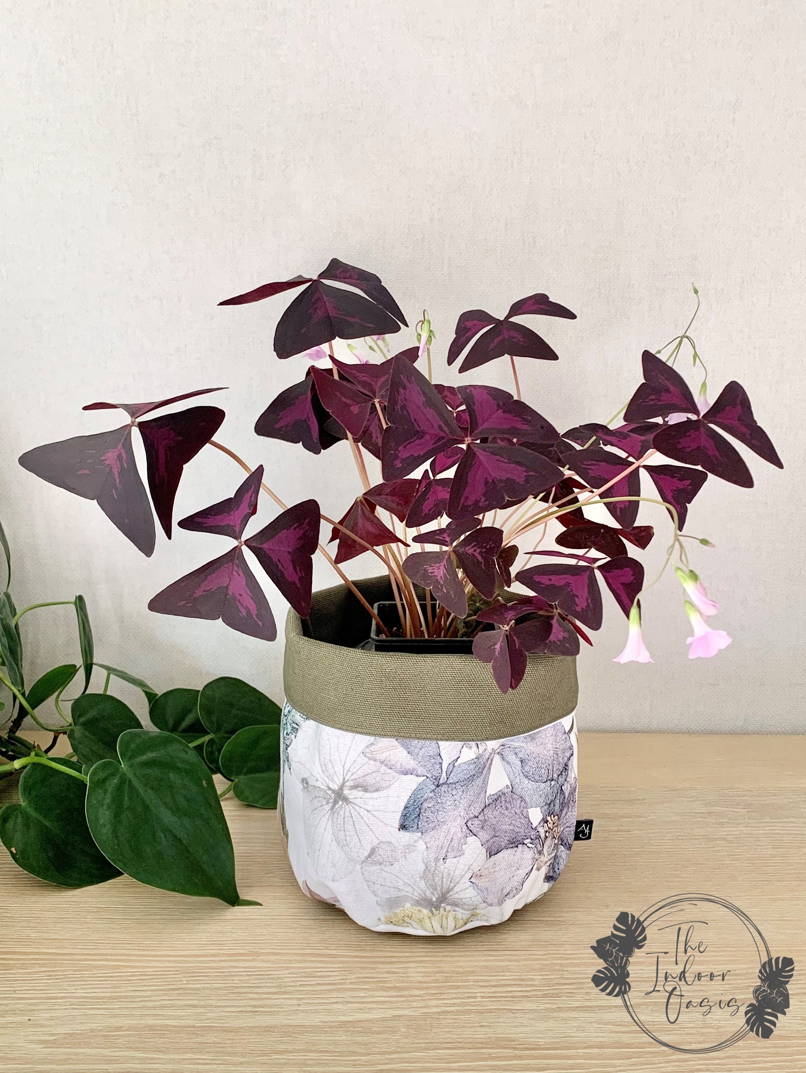 AJ Cotton Canvas Planter Bag Evie with Oxalis Triangularis The Indoor Oasis NZ