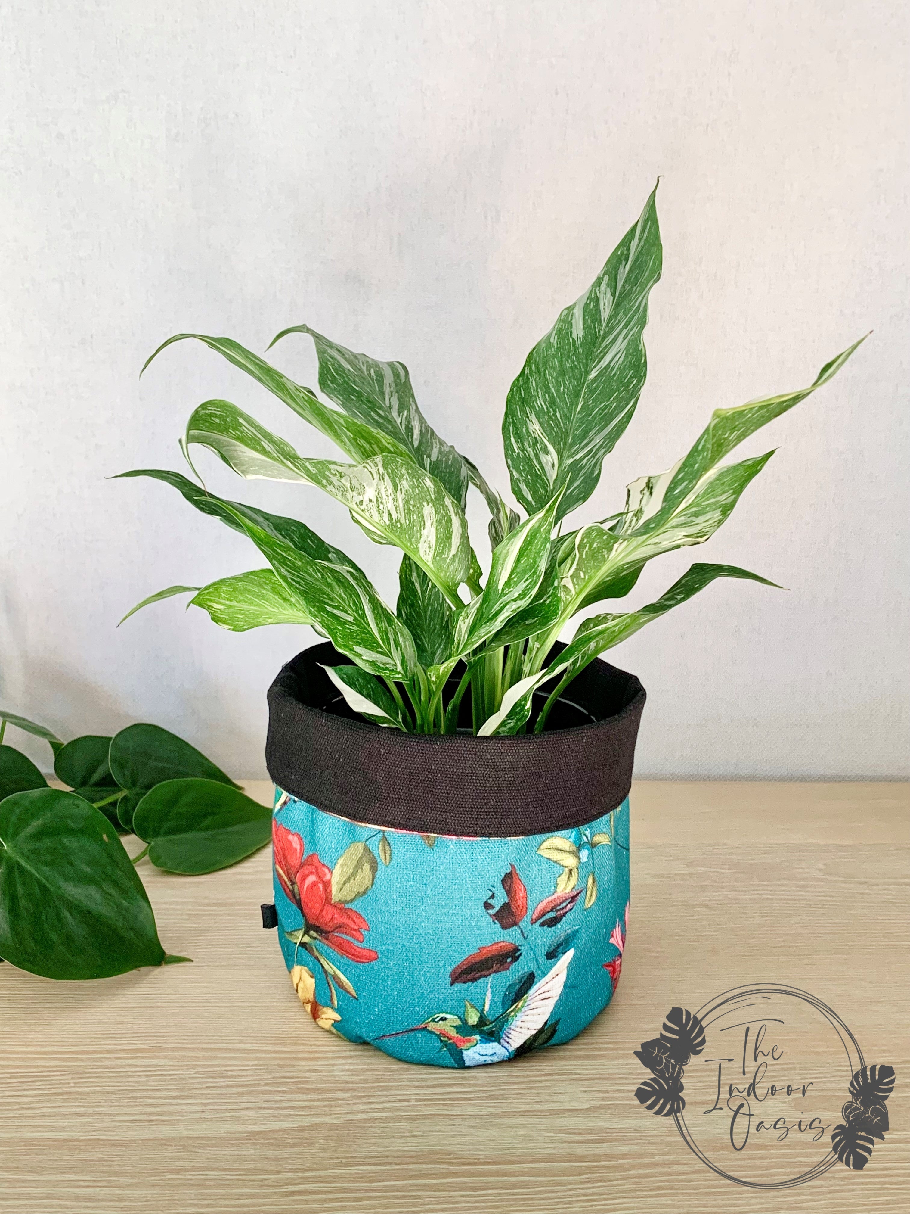 AJ Cotton Canvas Planter Bag Teal Floral with Variegated Peace Lily The Indoor Oasis NZ