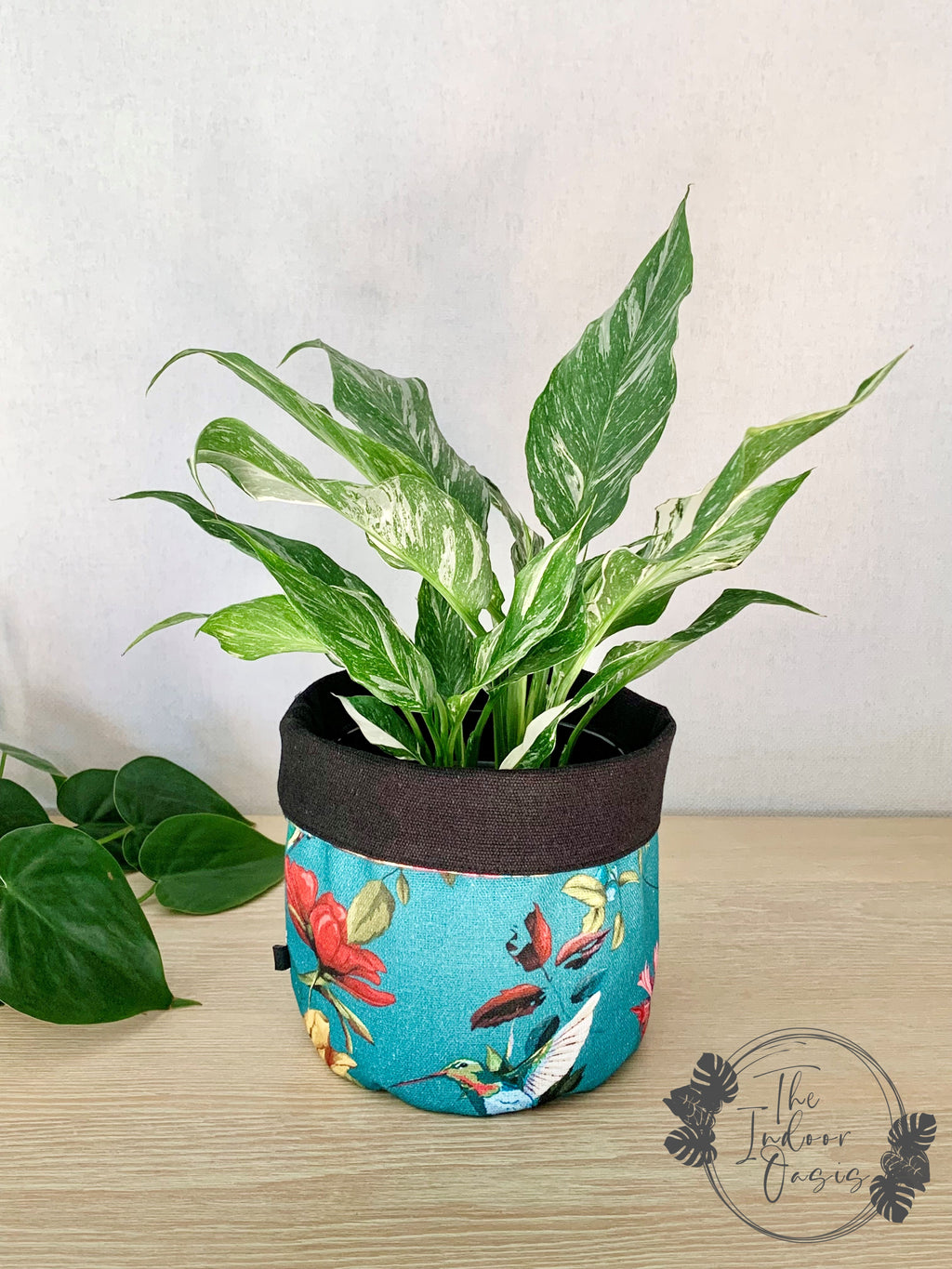 AJ Cotton Canvas Planter Bag Teal Floral with Variegated Peace Lily The Indoor Oasis NZ