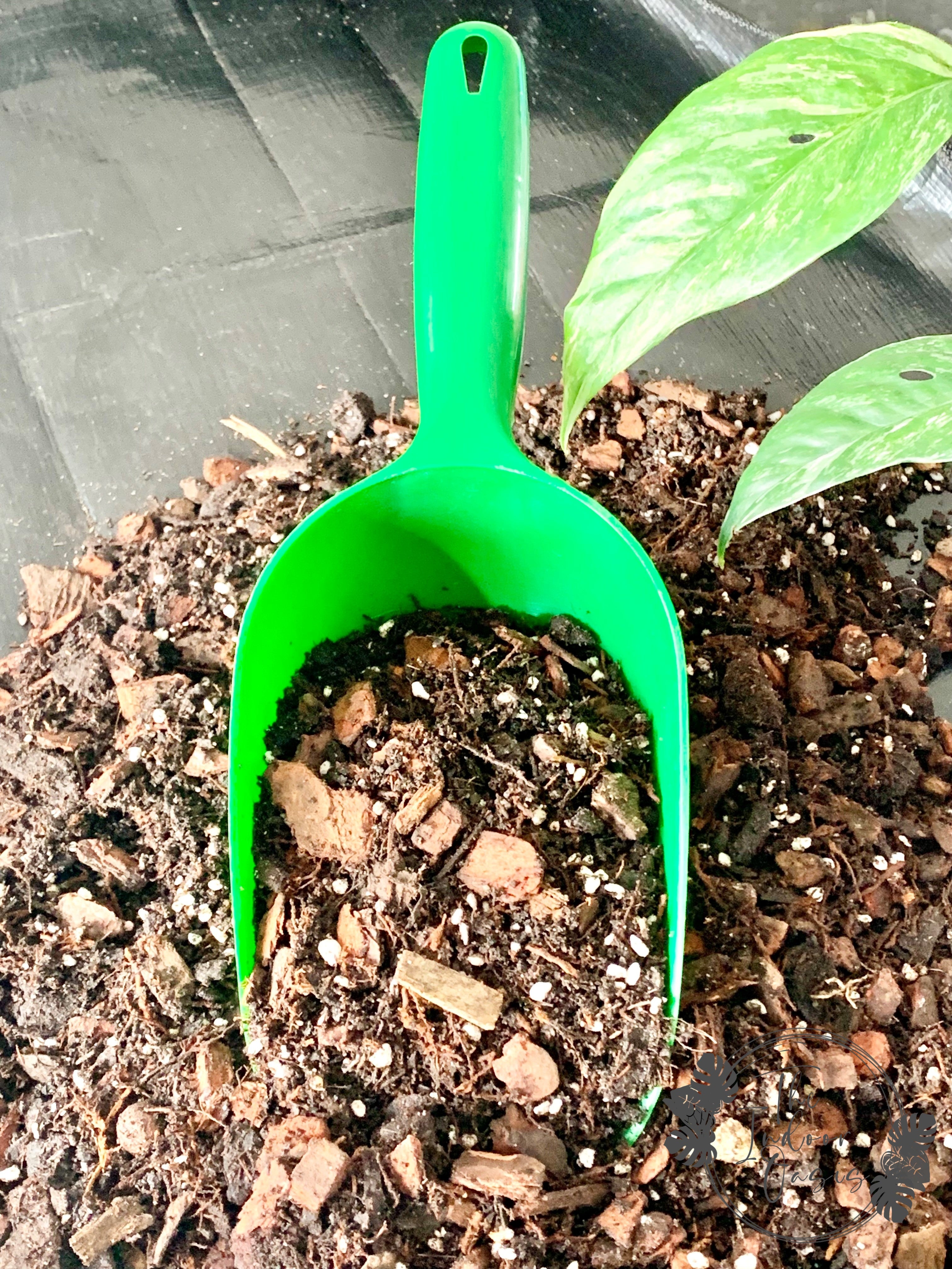 Potting Scoop Green Large