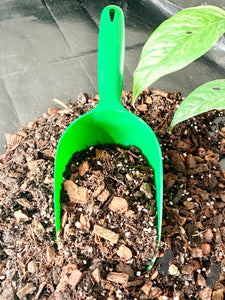 Potting Scoop Green Large
