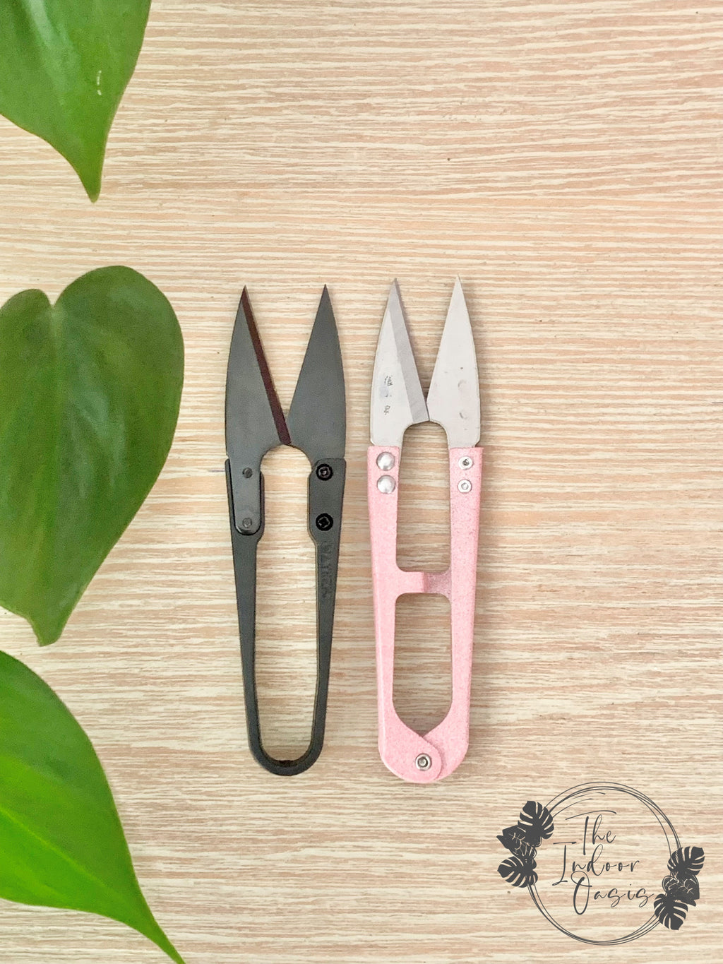 Indoor Plant Propagation Mini Snips Crew Mini Snips The Indoor Oasis NZ