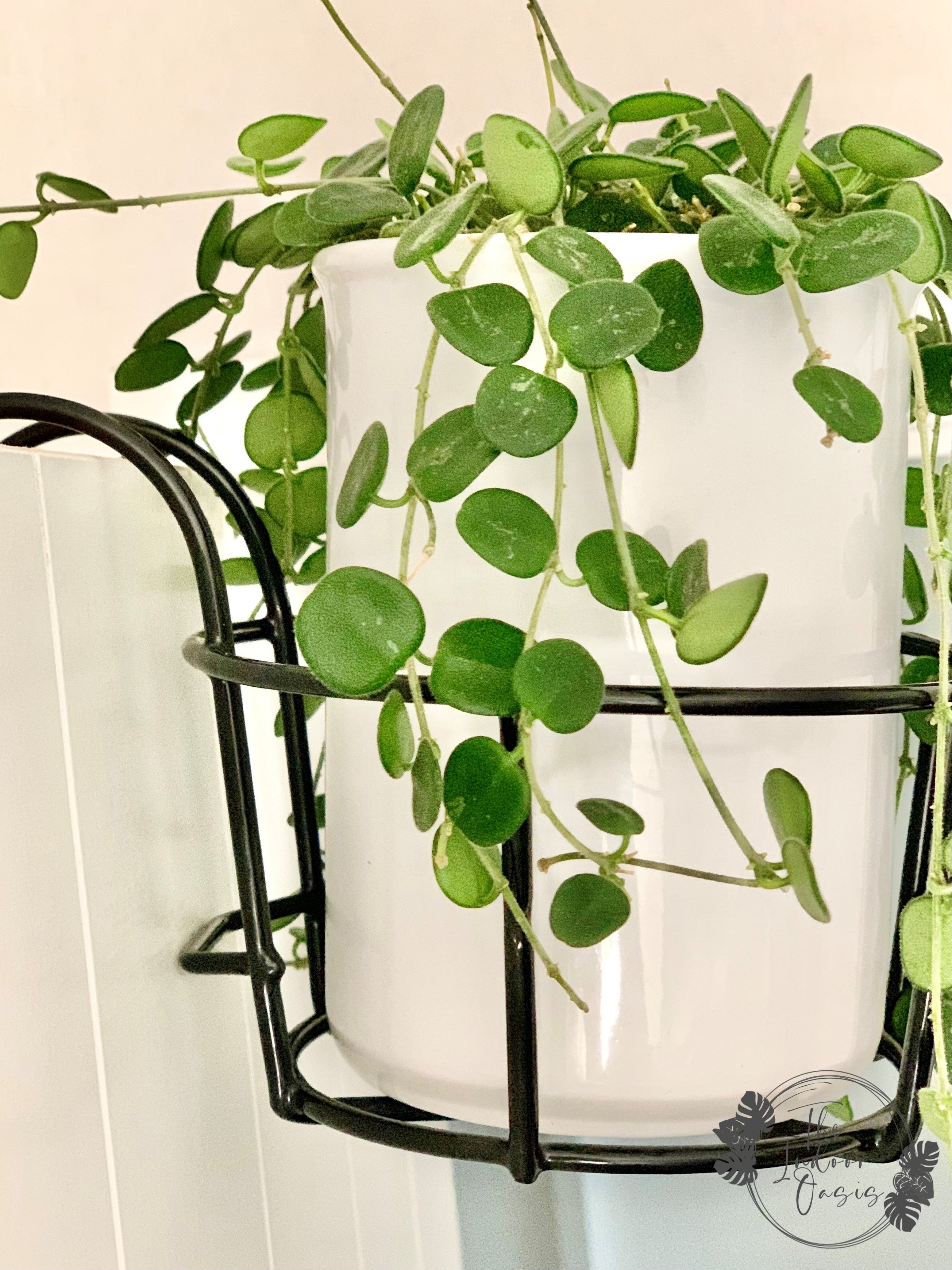 Metal Hanging Basket Plant Hanger