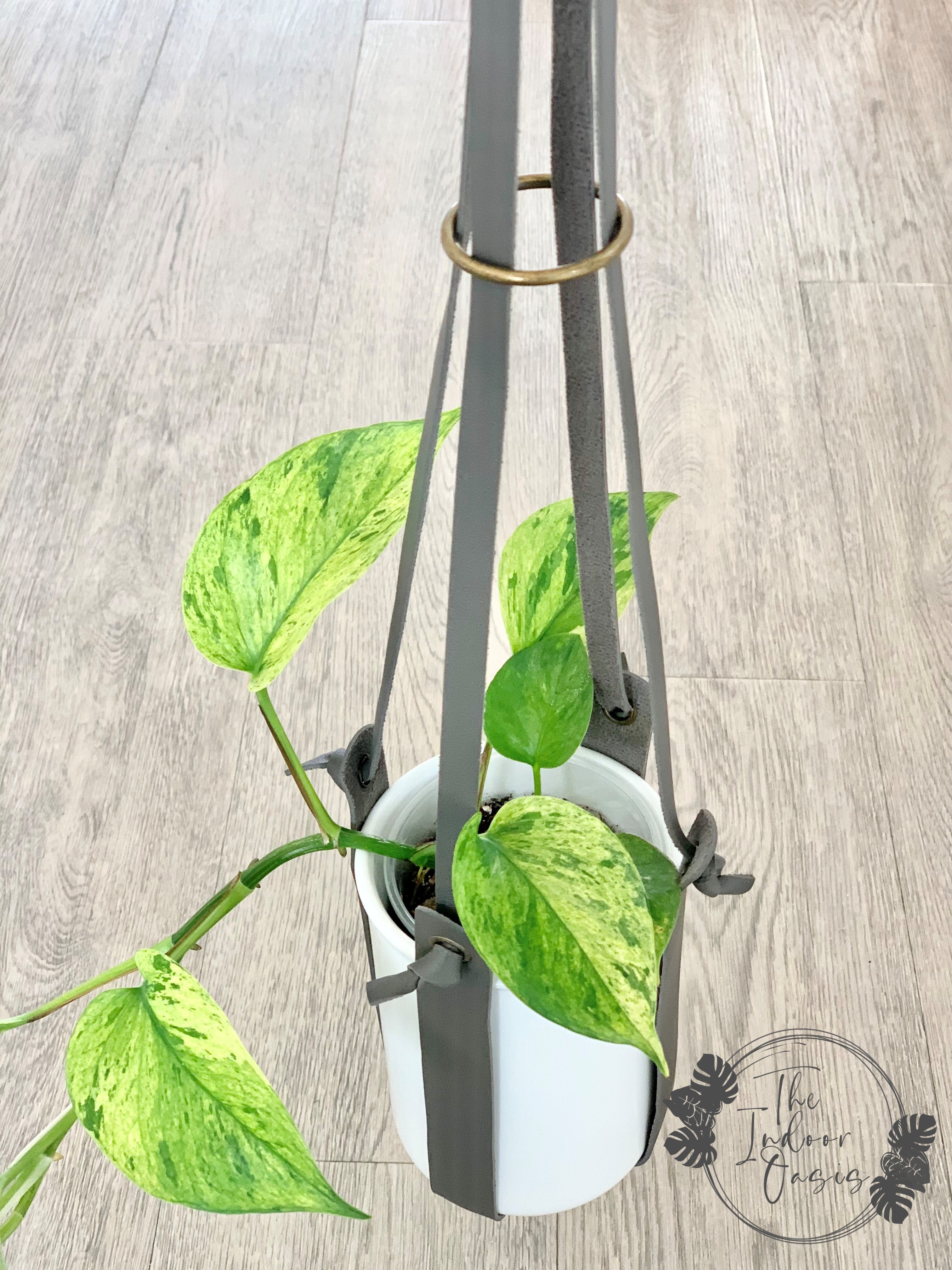 Vogue PU Leather Plant Hanger