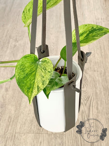 Vogue PU Leather Plant Hanger