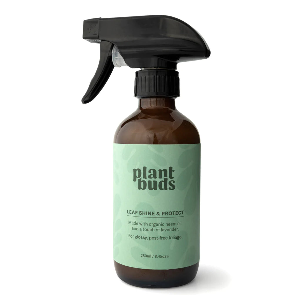 Buy PlantBuds Leaf Shine & Protect The Indoor Oasis NZ