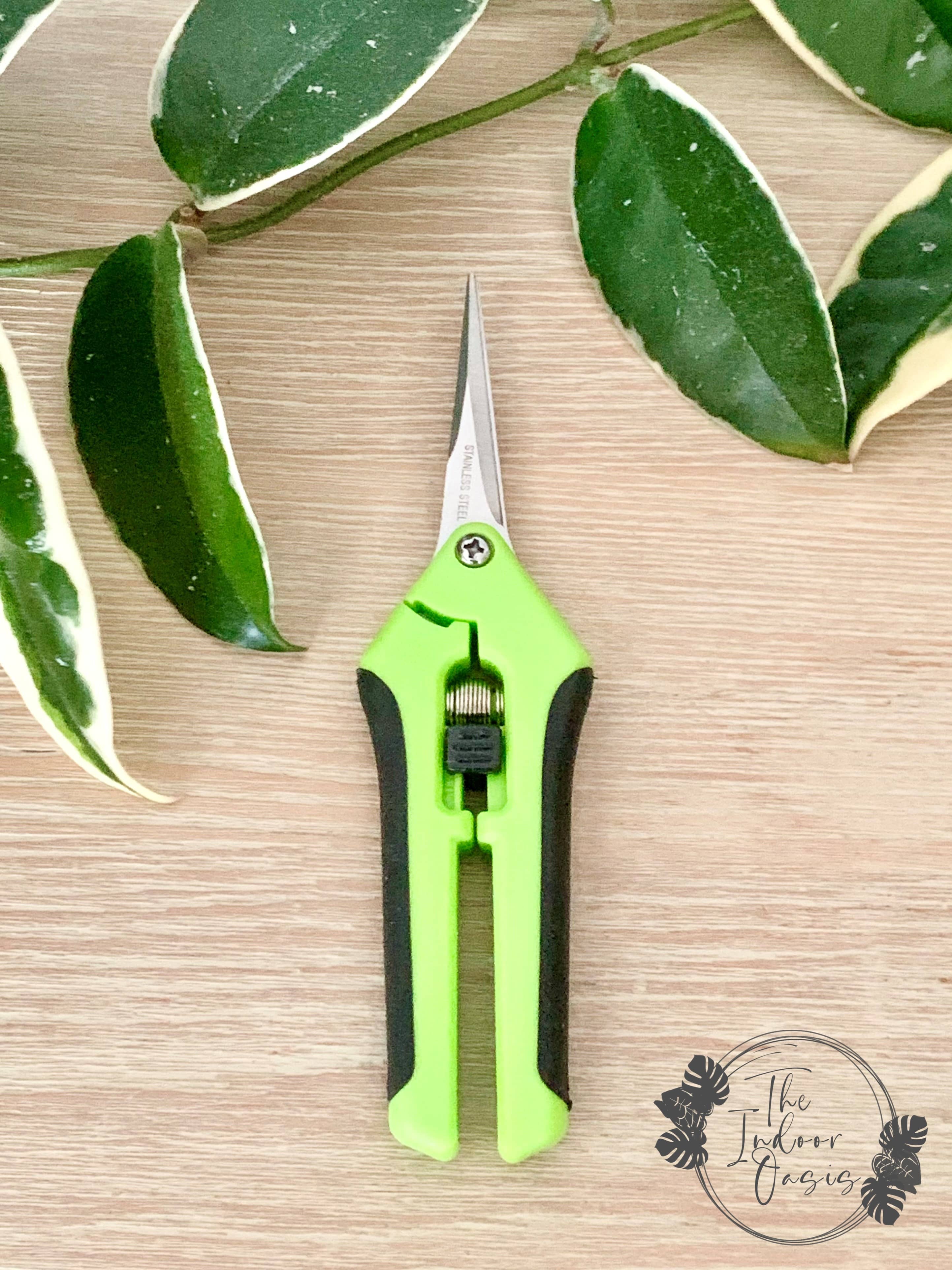 Plant Propagation Snips Shears The Indoor Oasis NZ